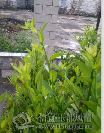 QQ��ͼ20121118160614.png