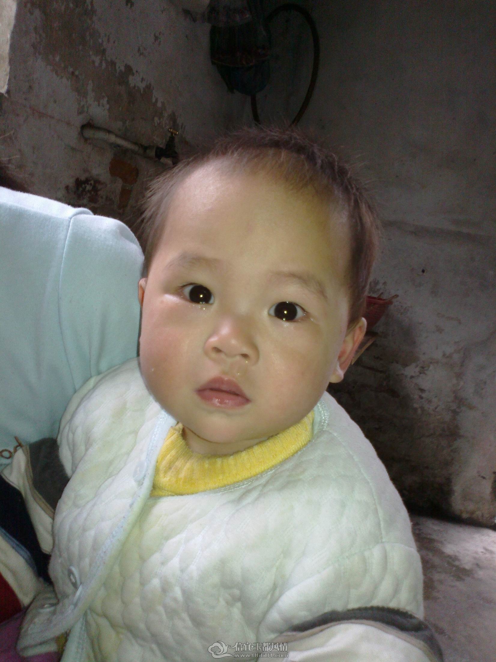 20120222588.jpg