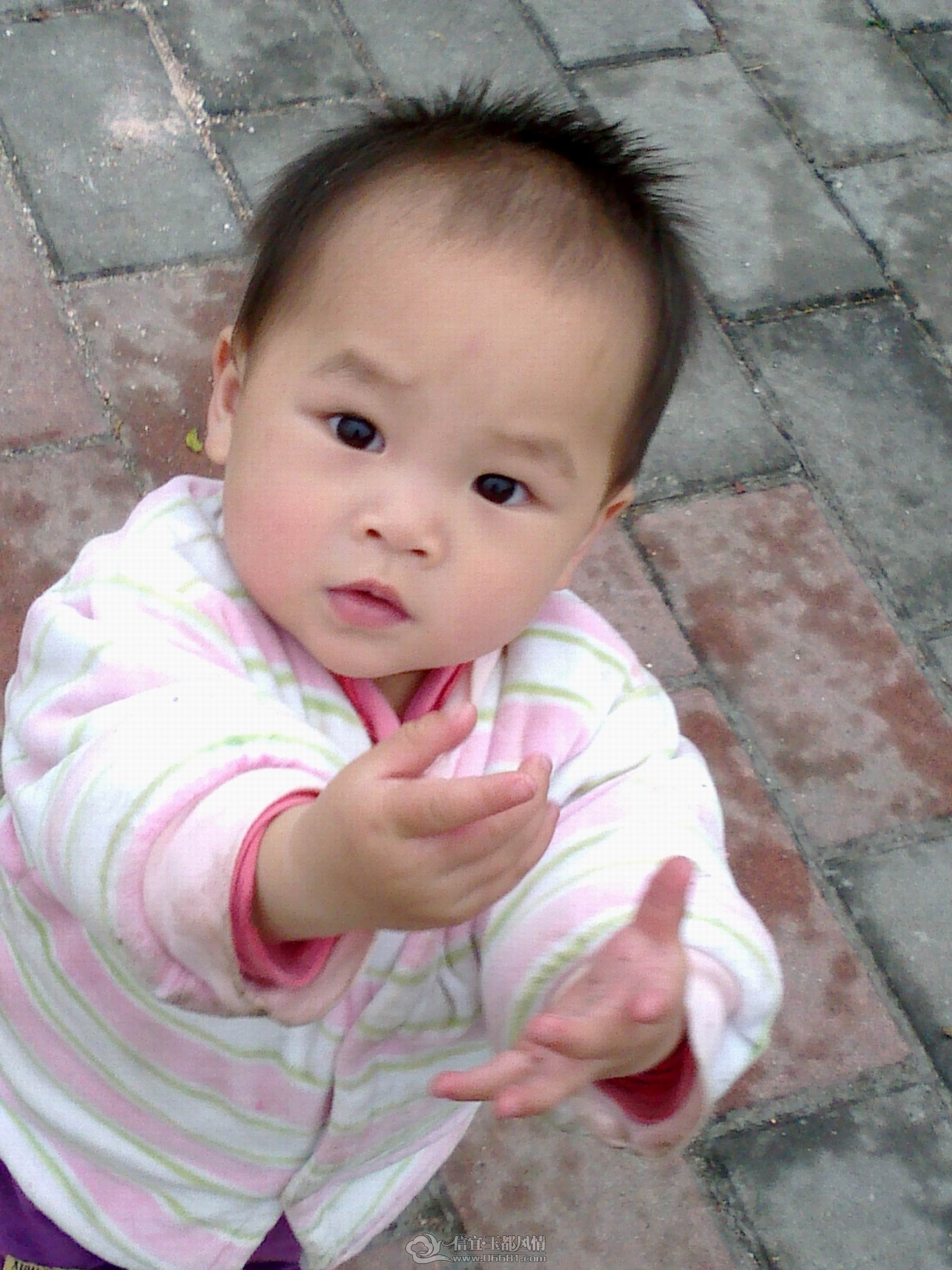 20120224595.jpg