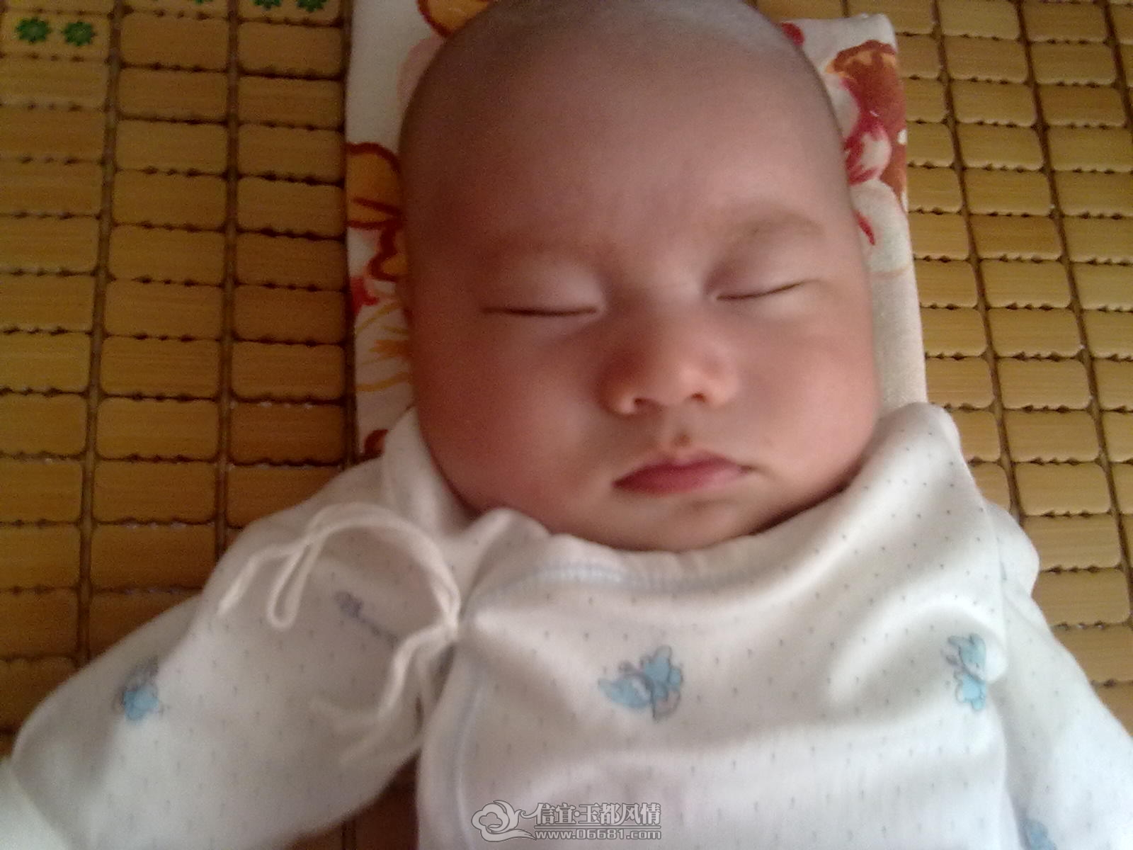 20120902285.jpg