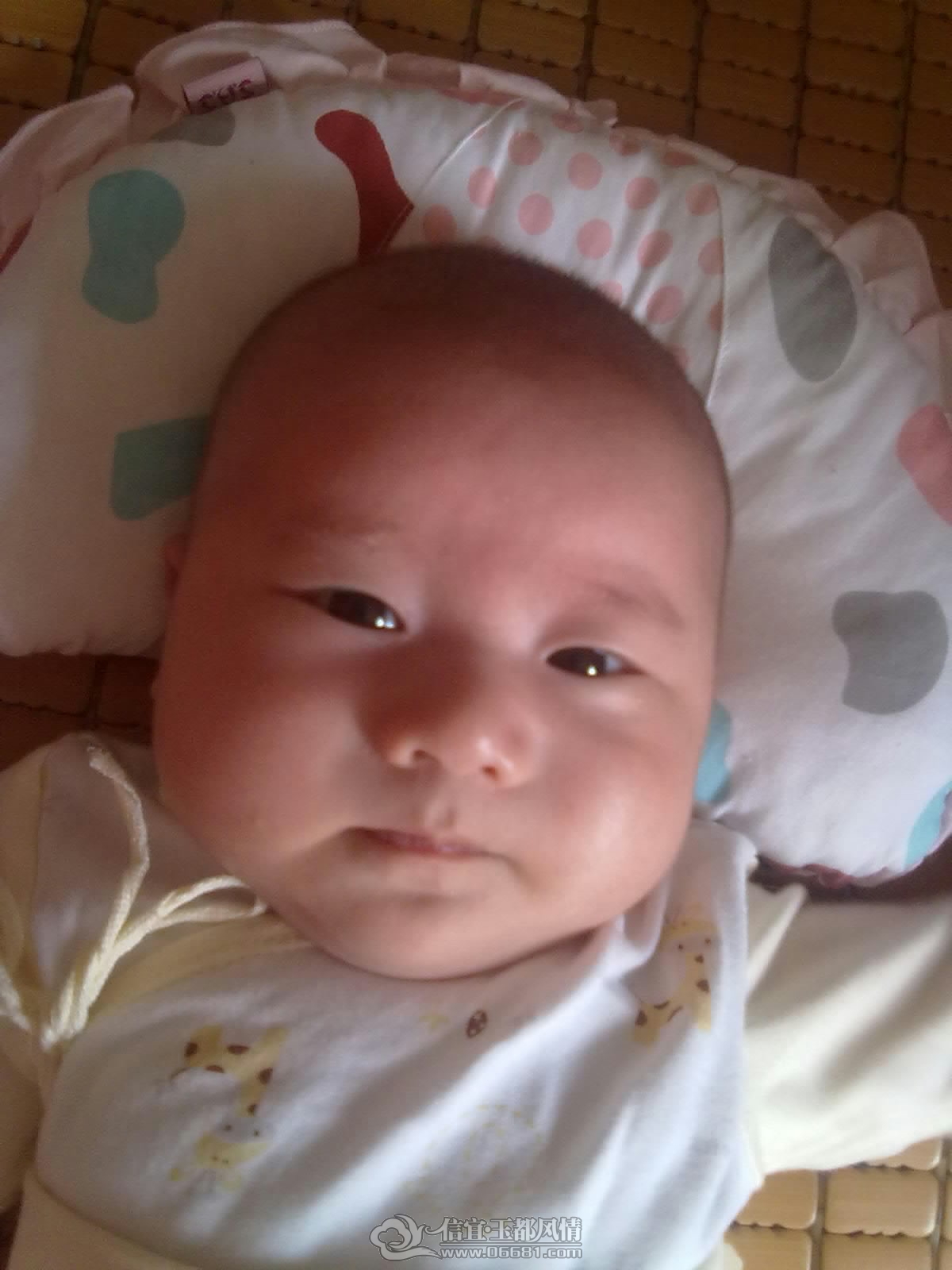 20120909298.jpg