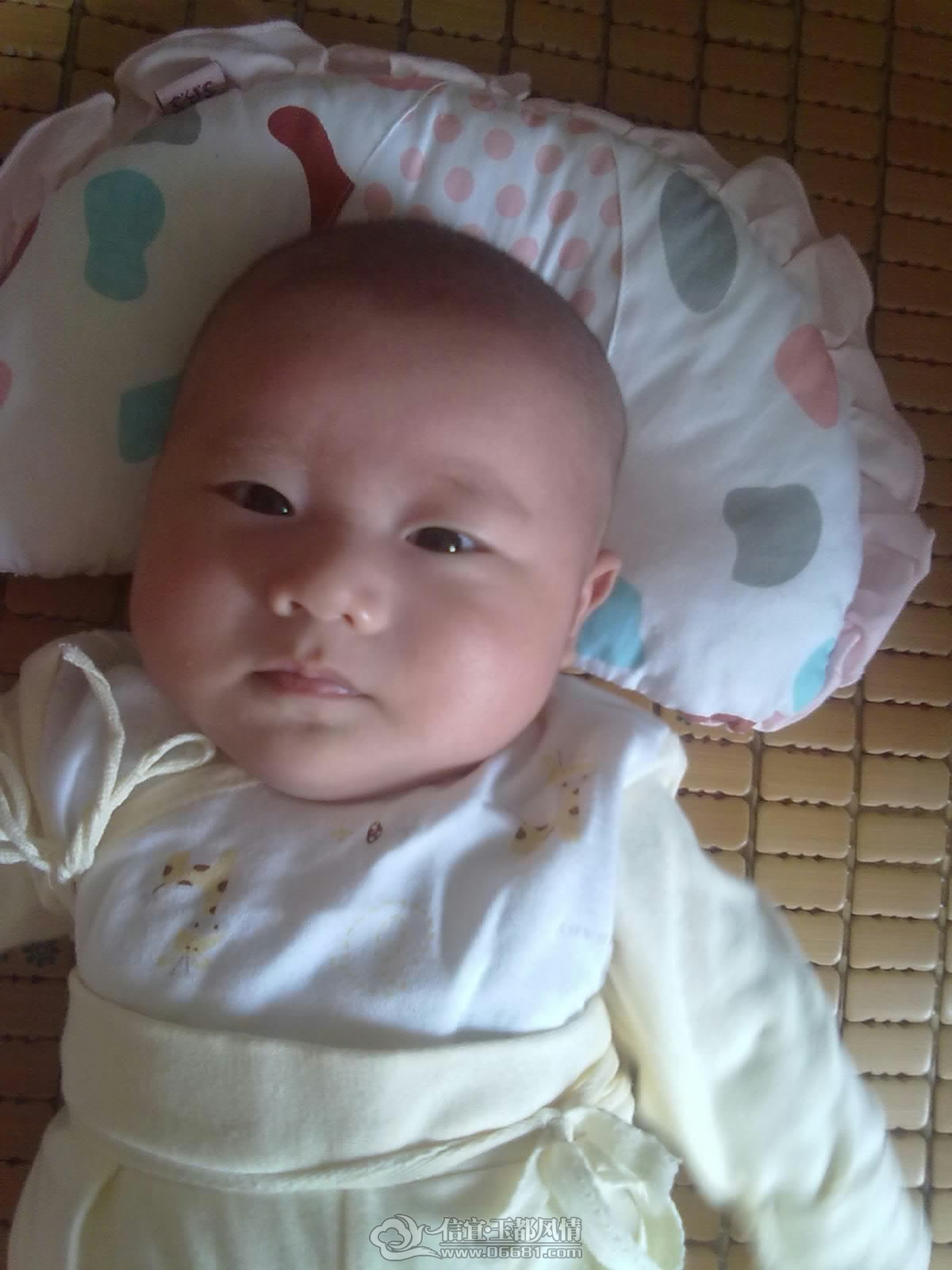 20120909299.jpg