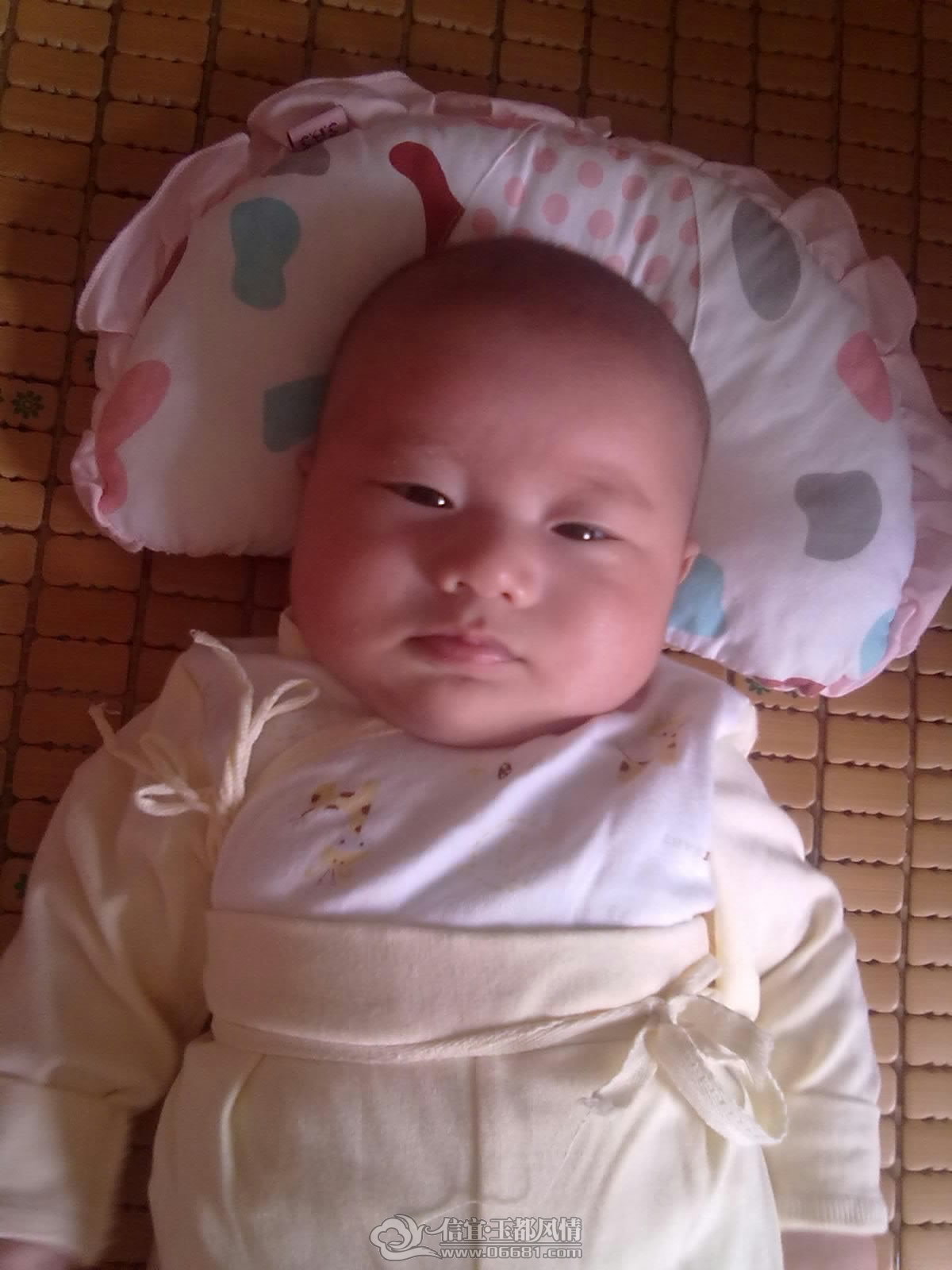 20120909300.jpg