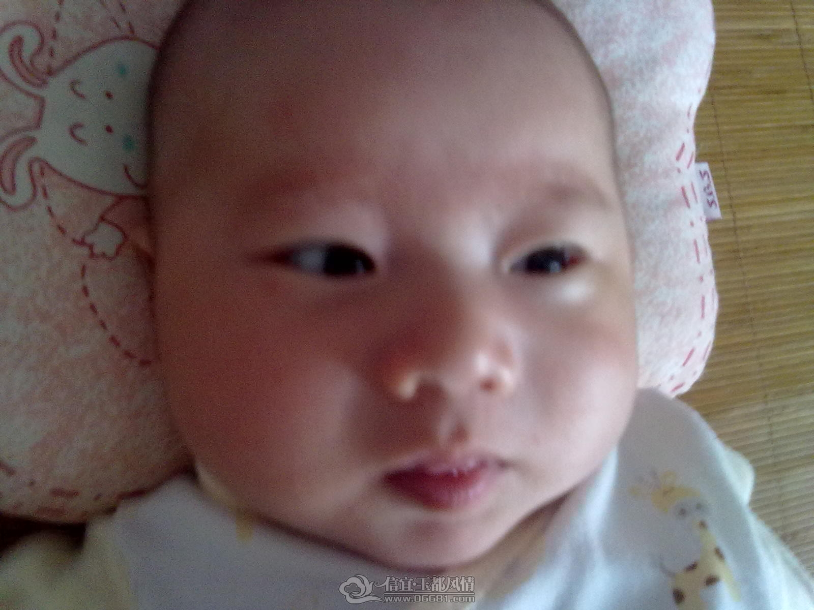 20120912305.jpg