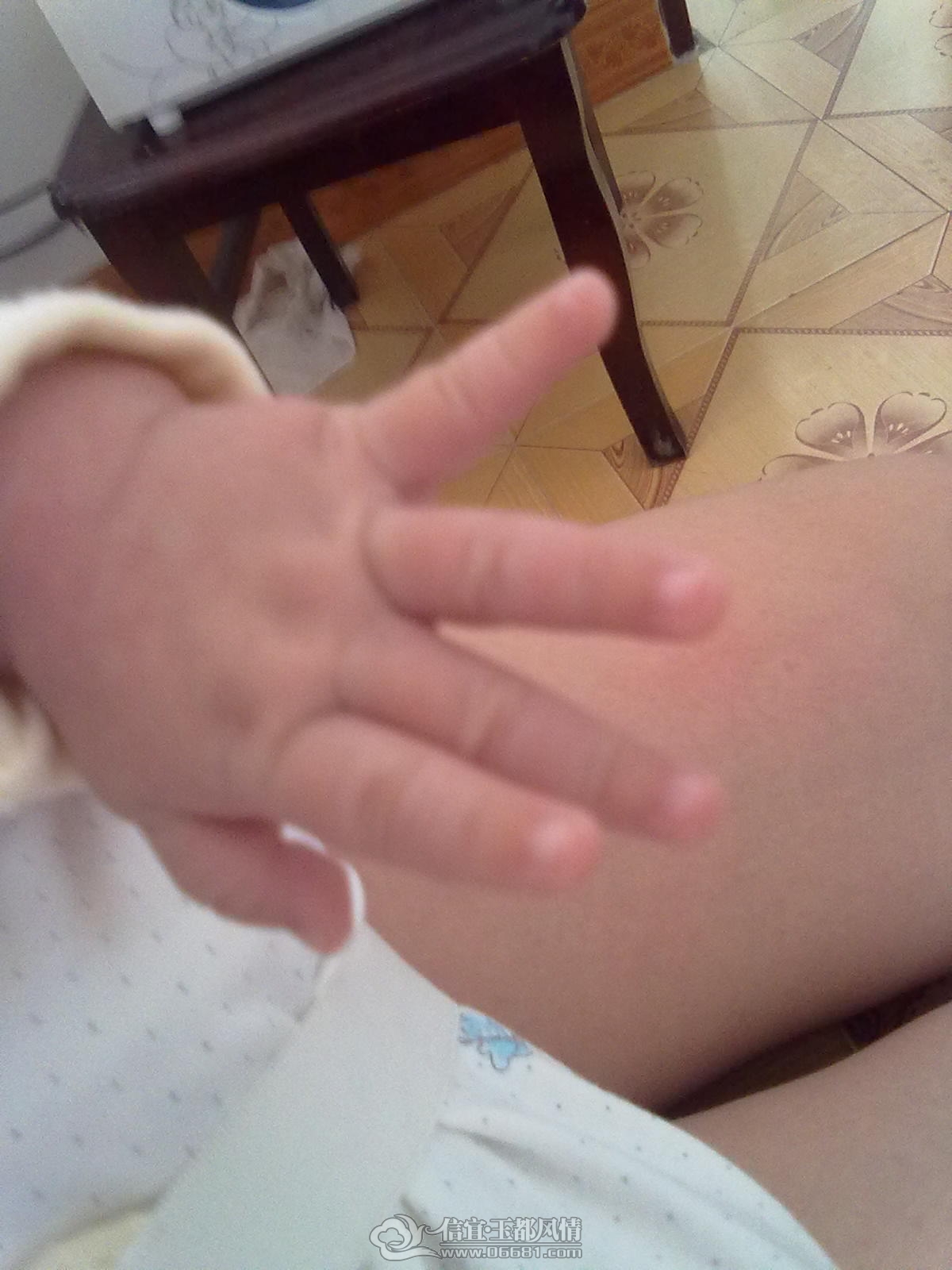20120912308.jpg