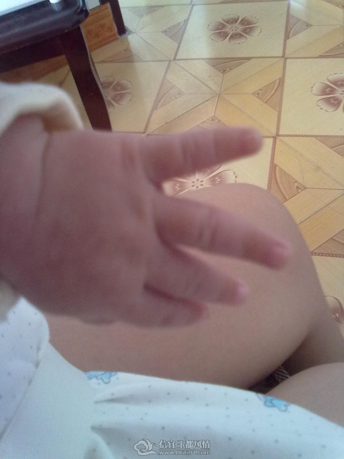 20120912311.jpg
