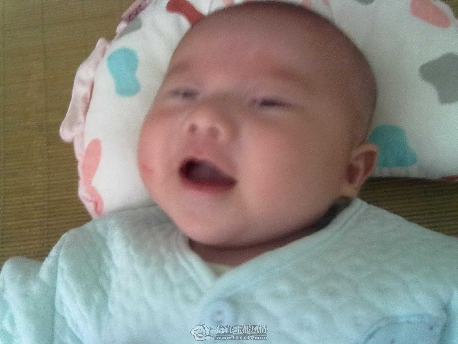 20120916320.jpg