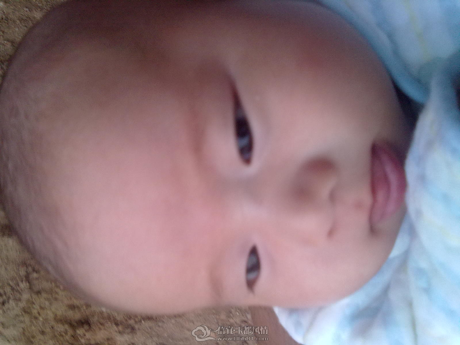 20120916331.jpg
