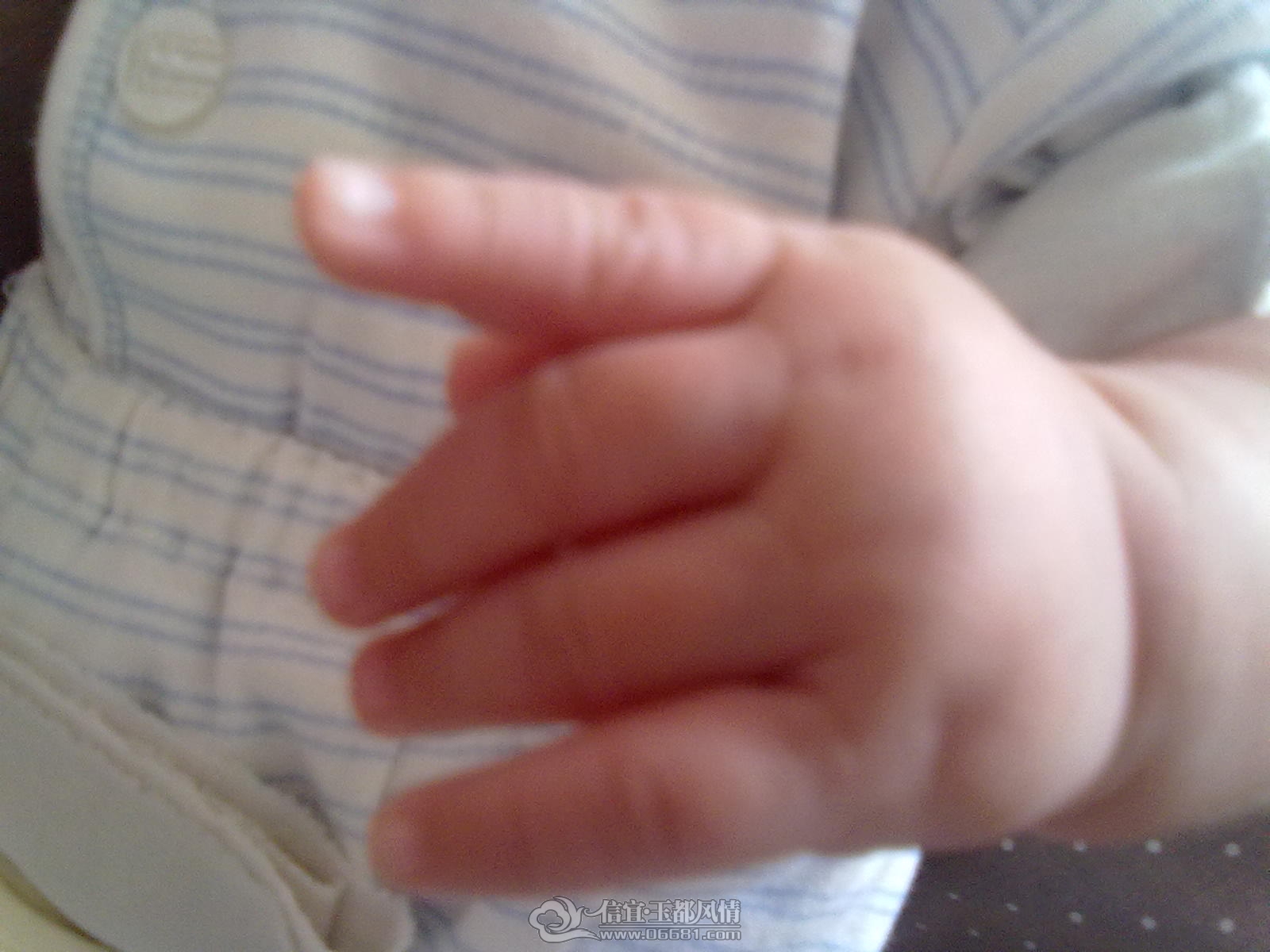 20120920334.jpg