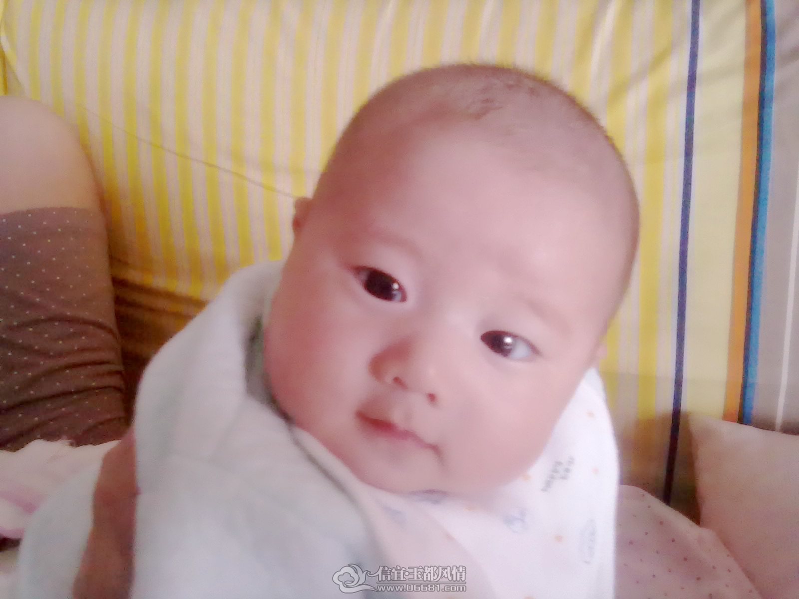20120921337_����.jpg