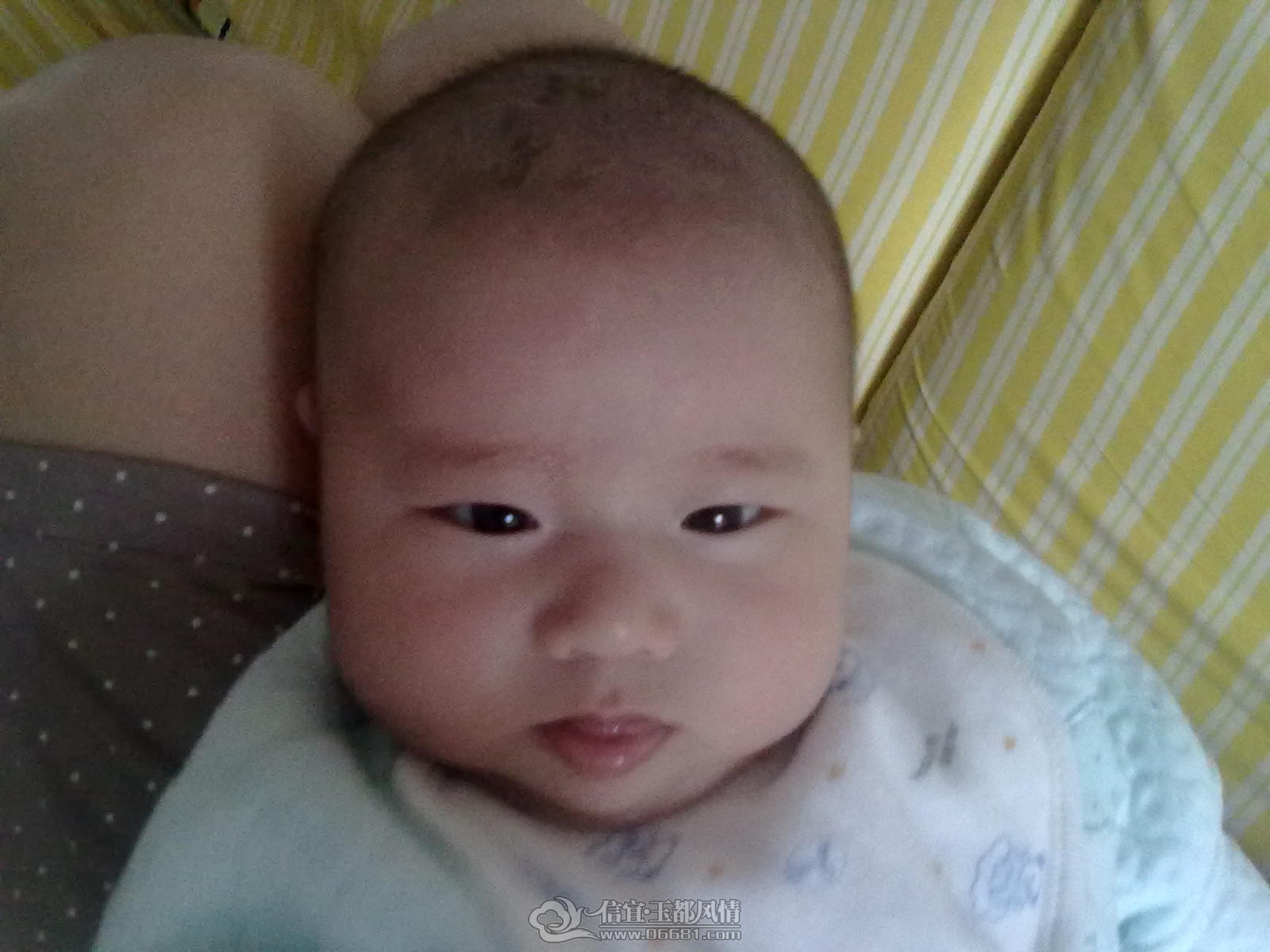 20120921339.jpg