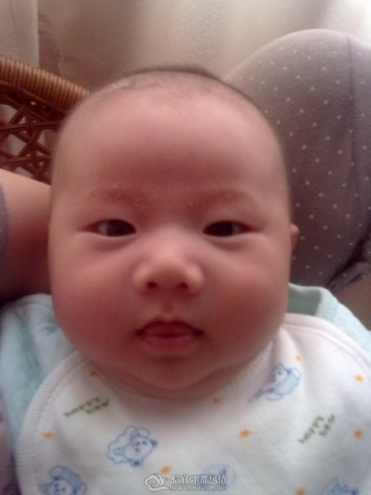 20120921342.jpg
