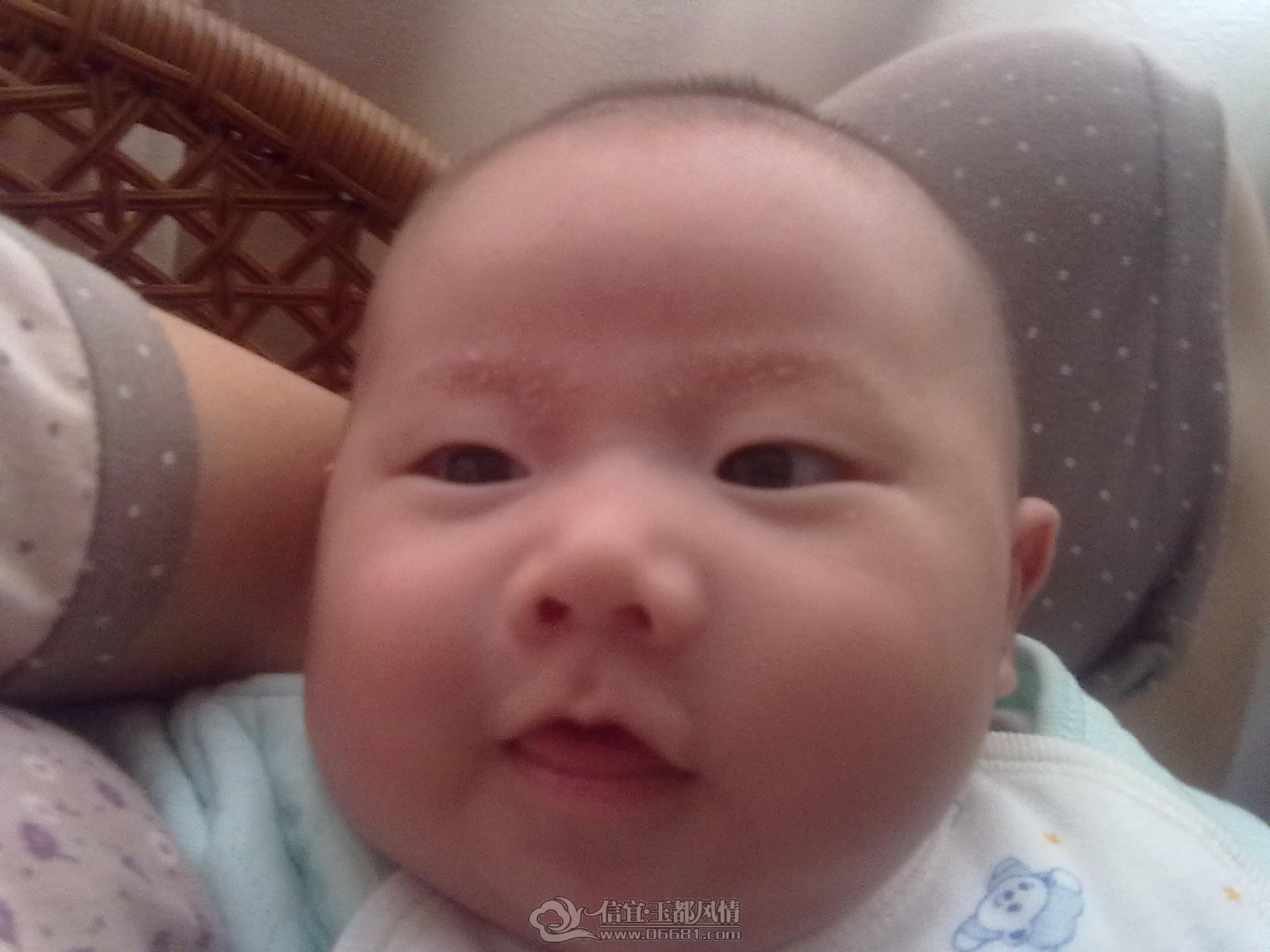 20120921344.jpg