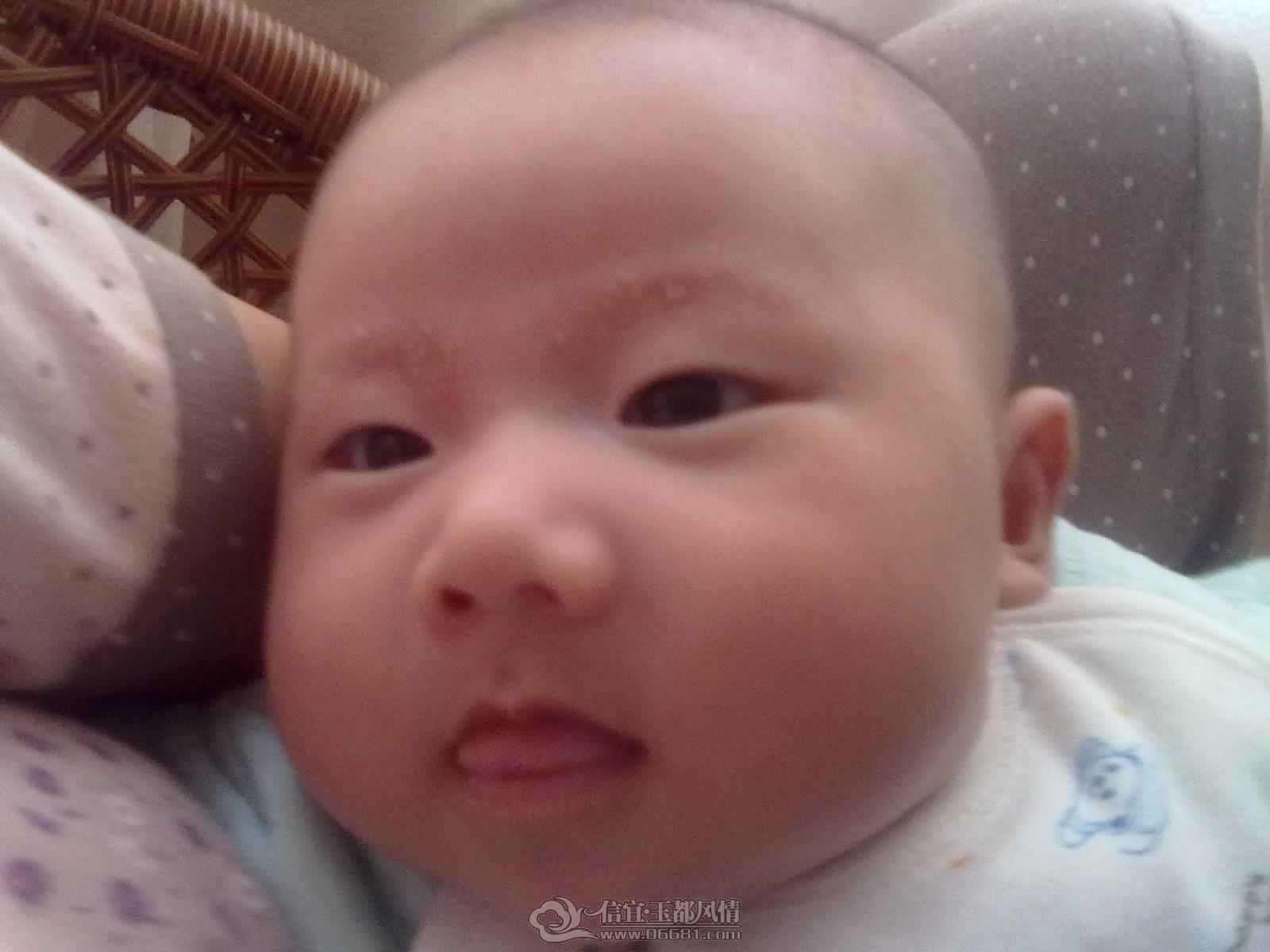 20120921345.jpg