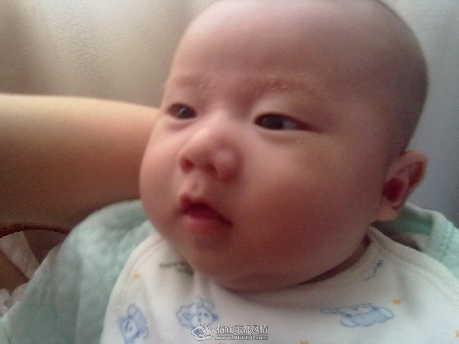 20120921347.jpg