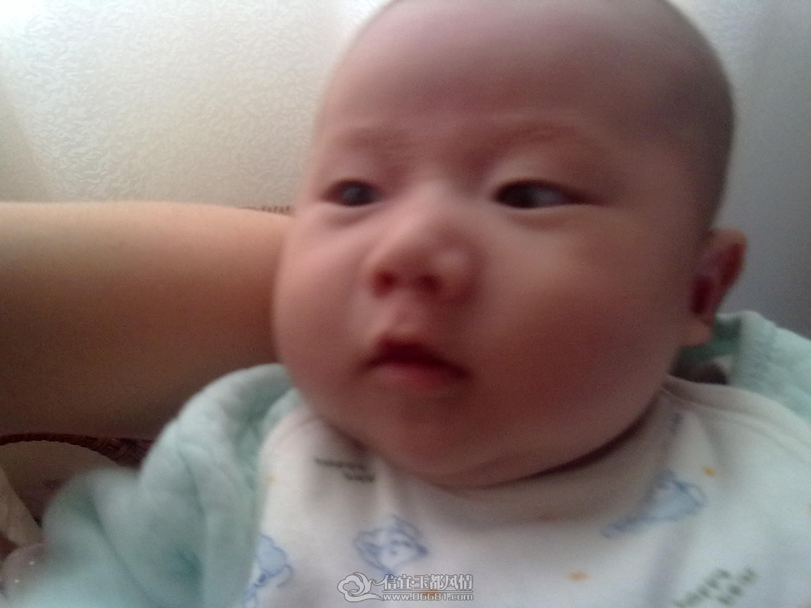 20120921348.jpg
