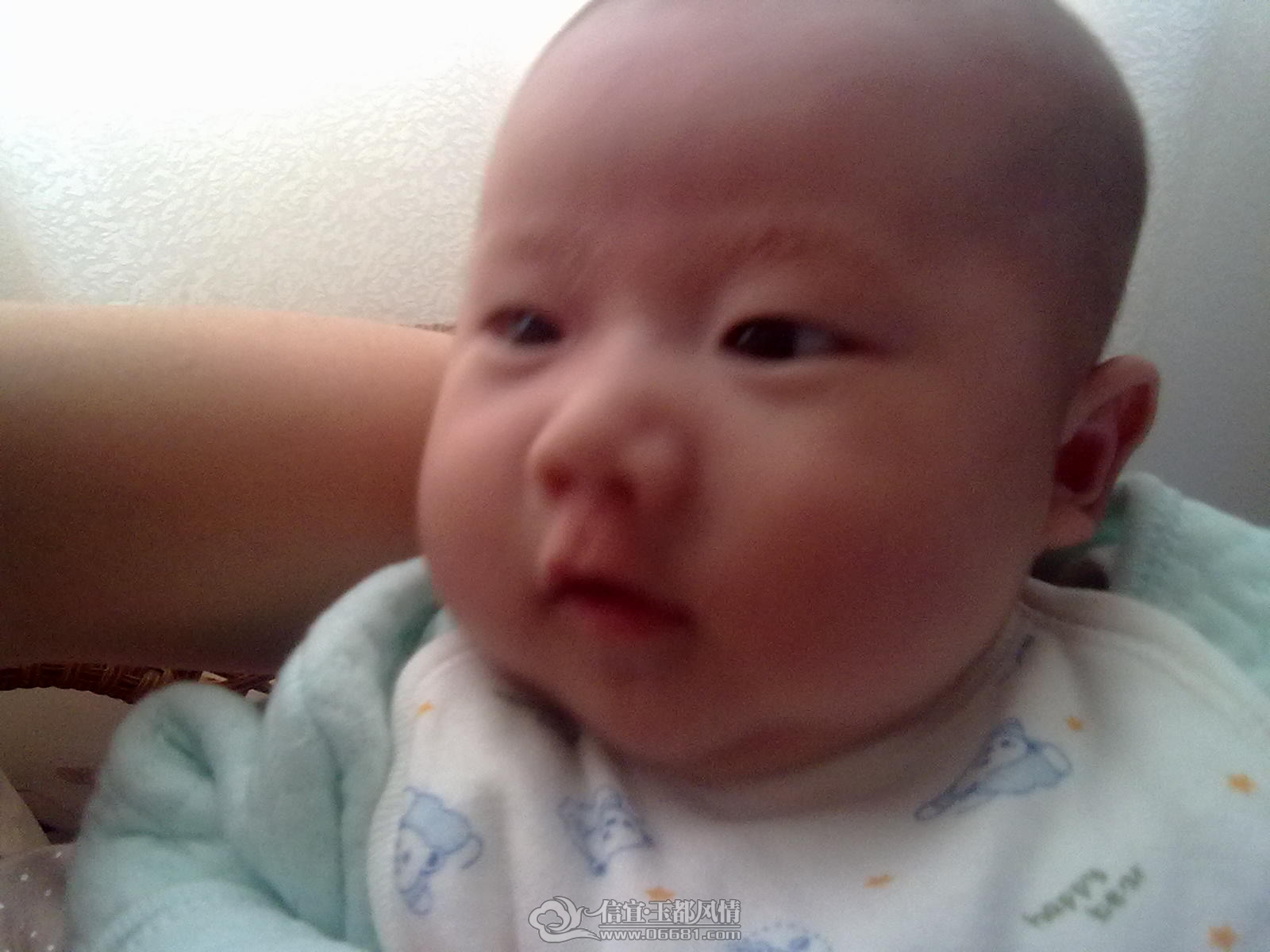 20120921349.jpg