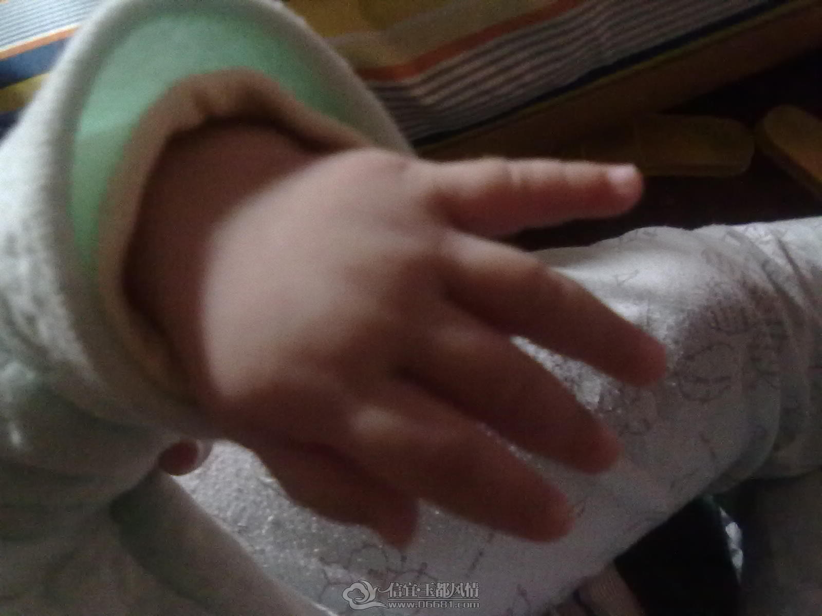 20120922358.jpg