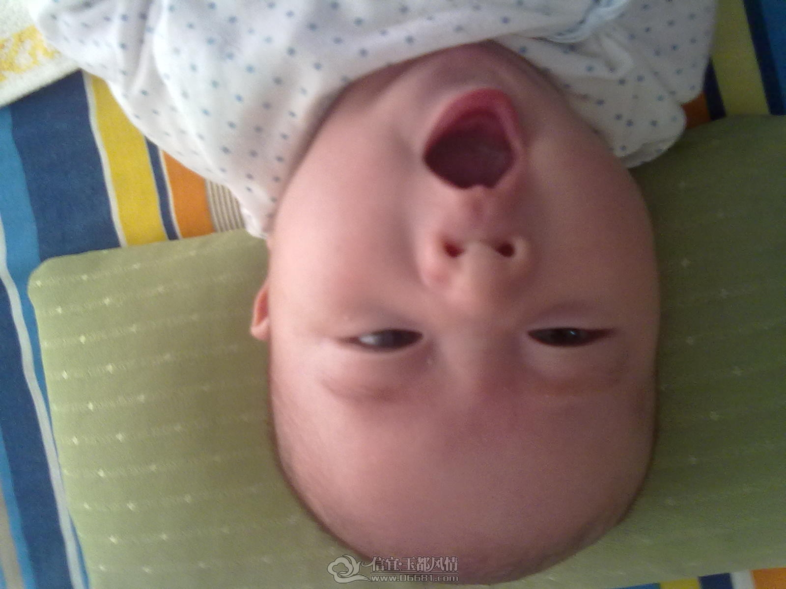 20120927367.jpg