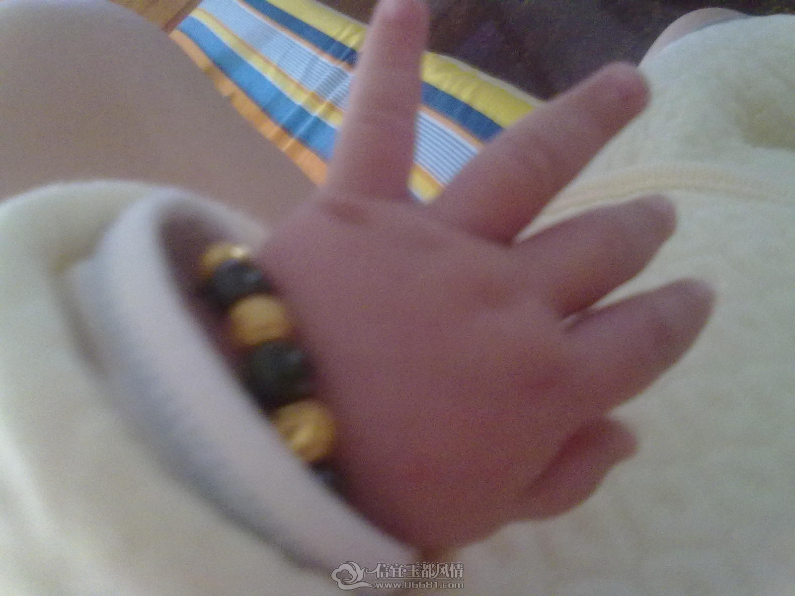 20121006375.jpg