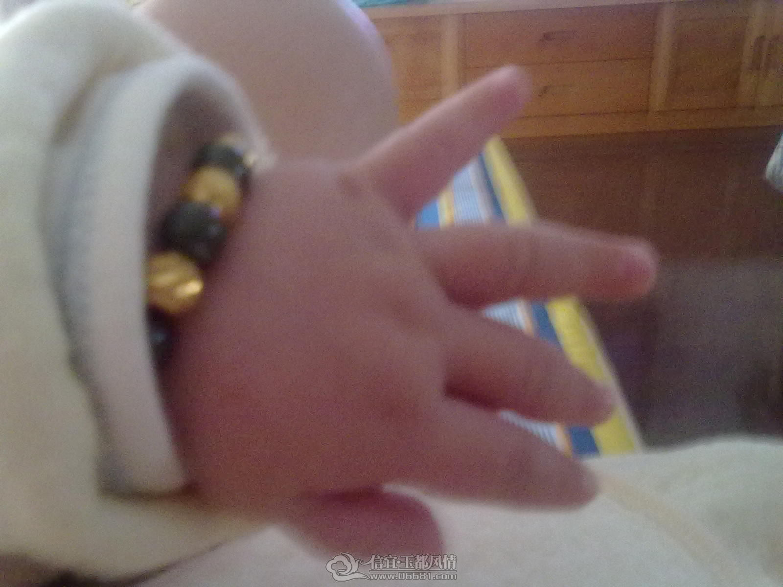 20121006376.jpg