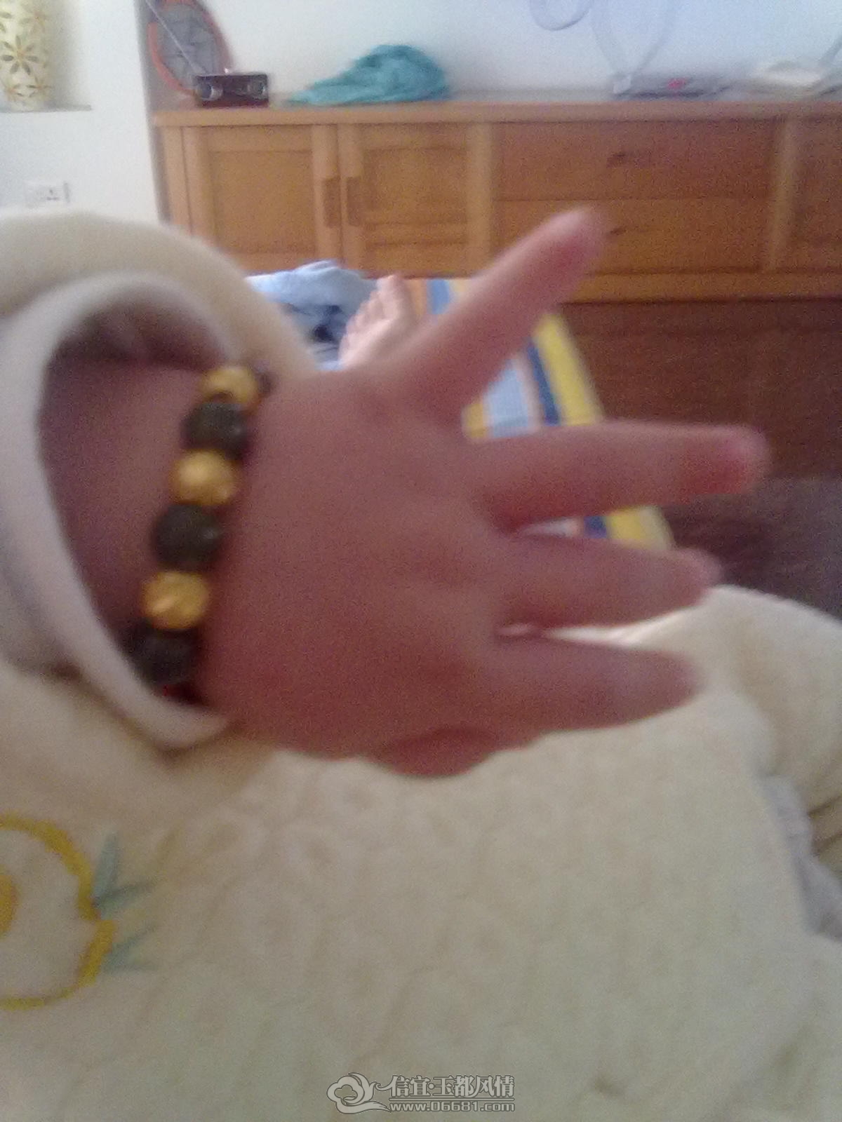 20121006380.jpg