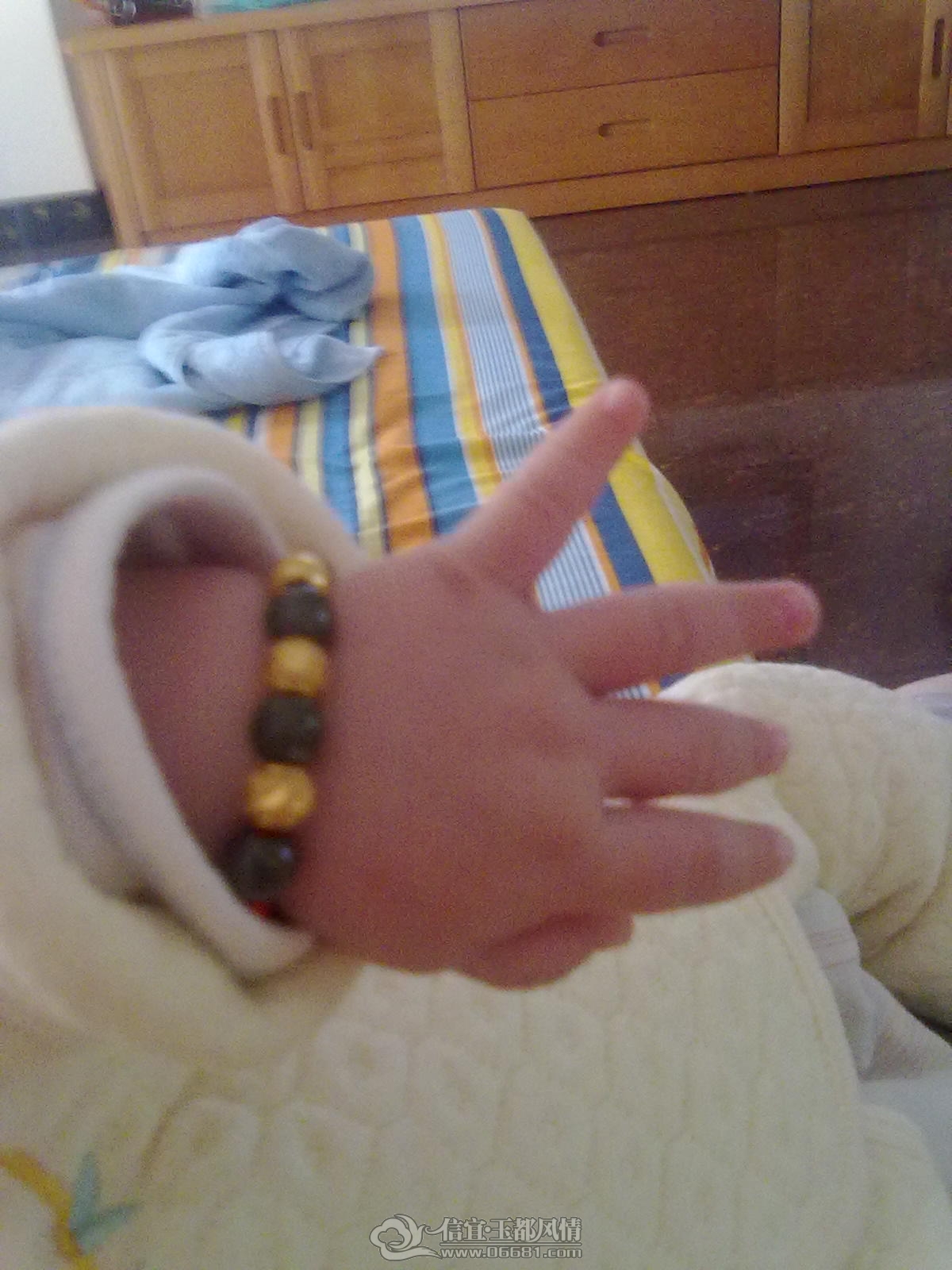 20121006383.jpg