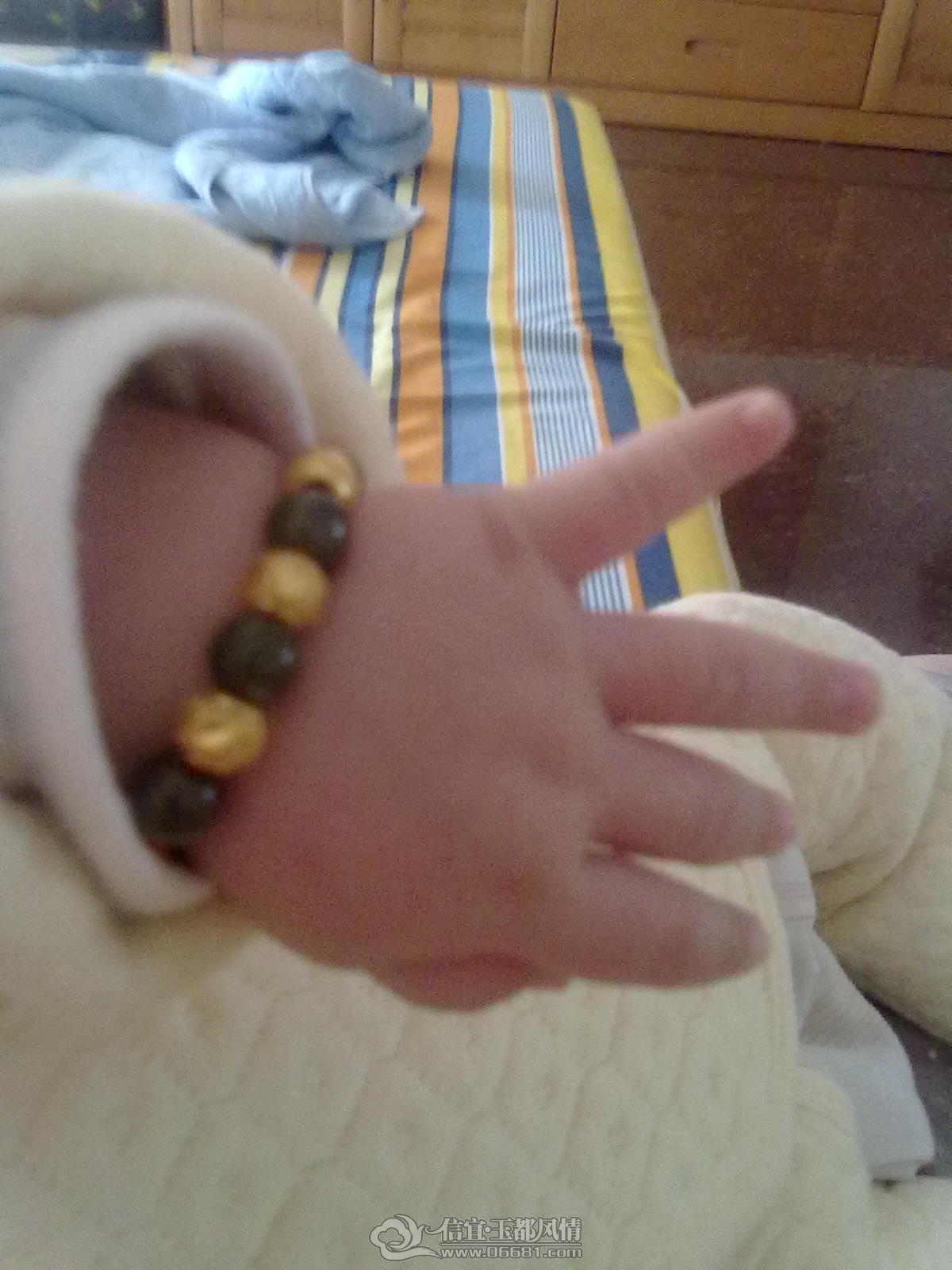 20121006387.jpg