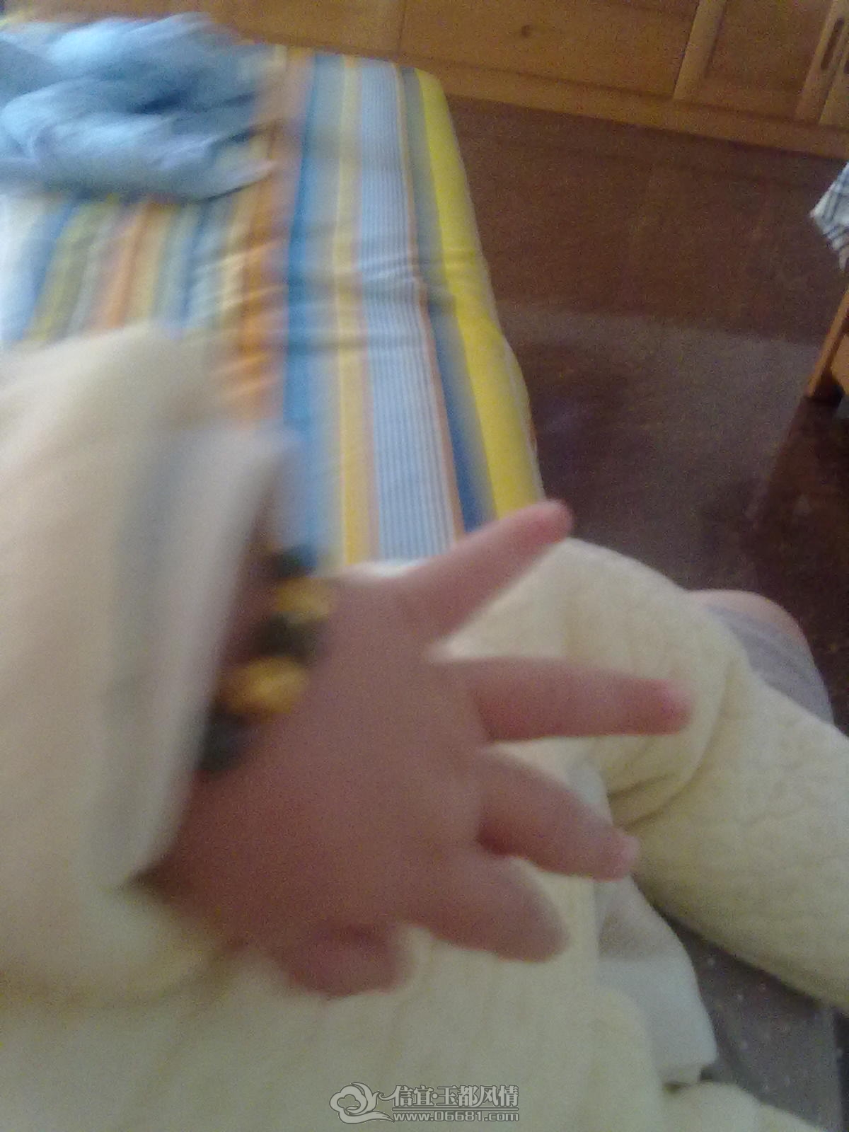 20121006394.jpg
