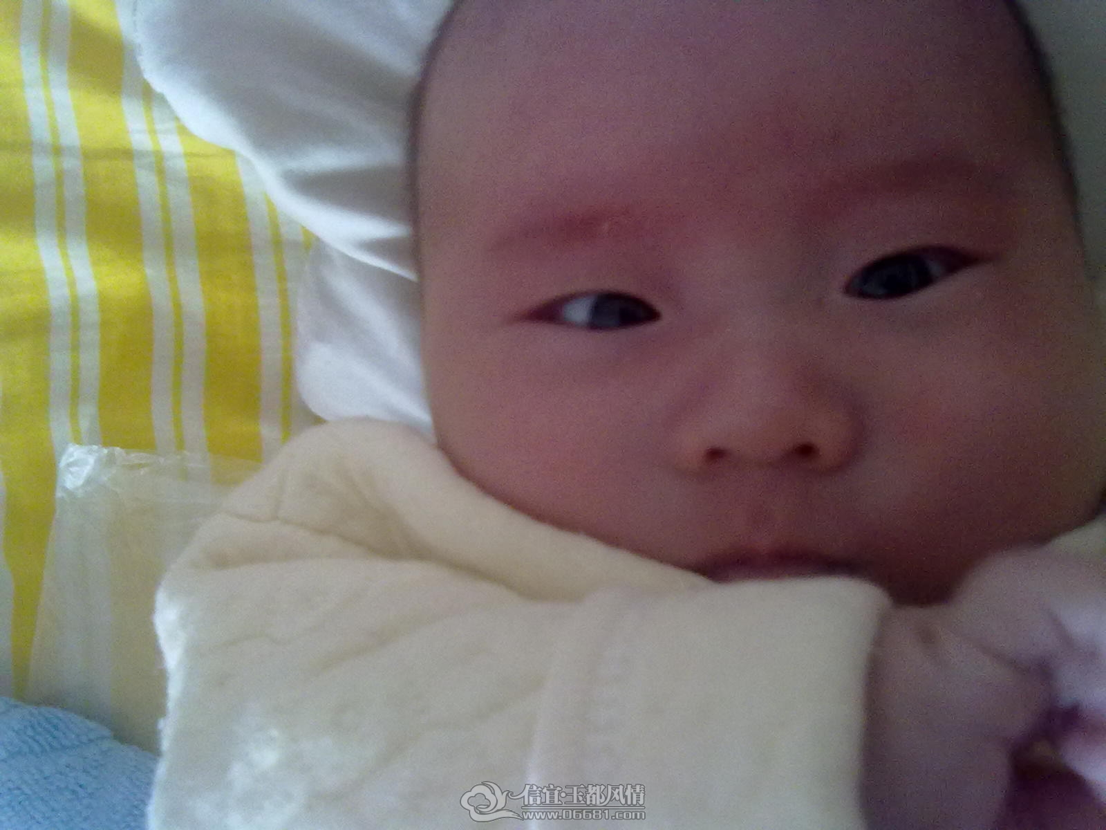 20121006400.jpg