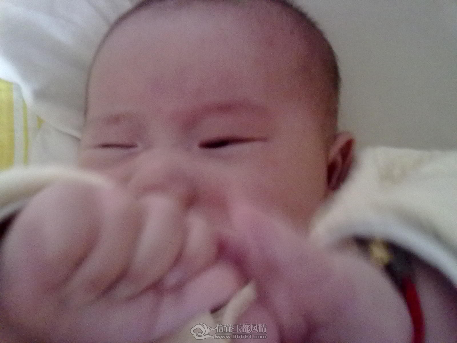 20121006401.jpg