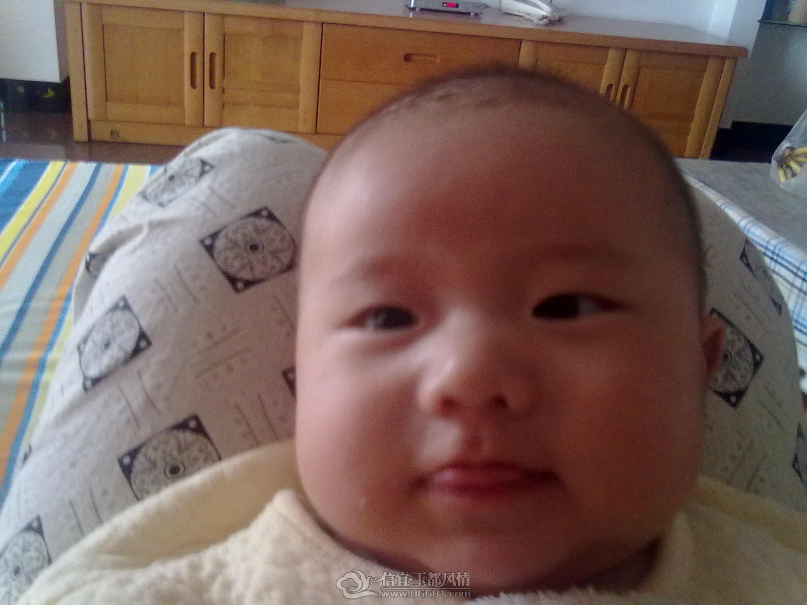 20121007407.jpg