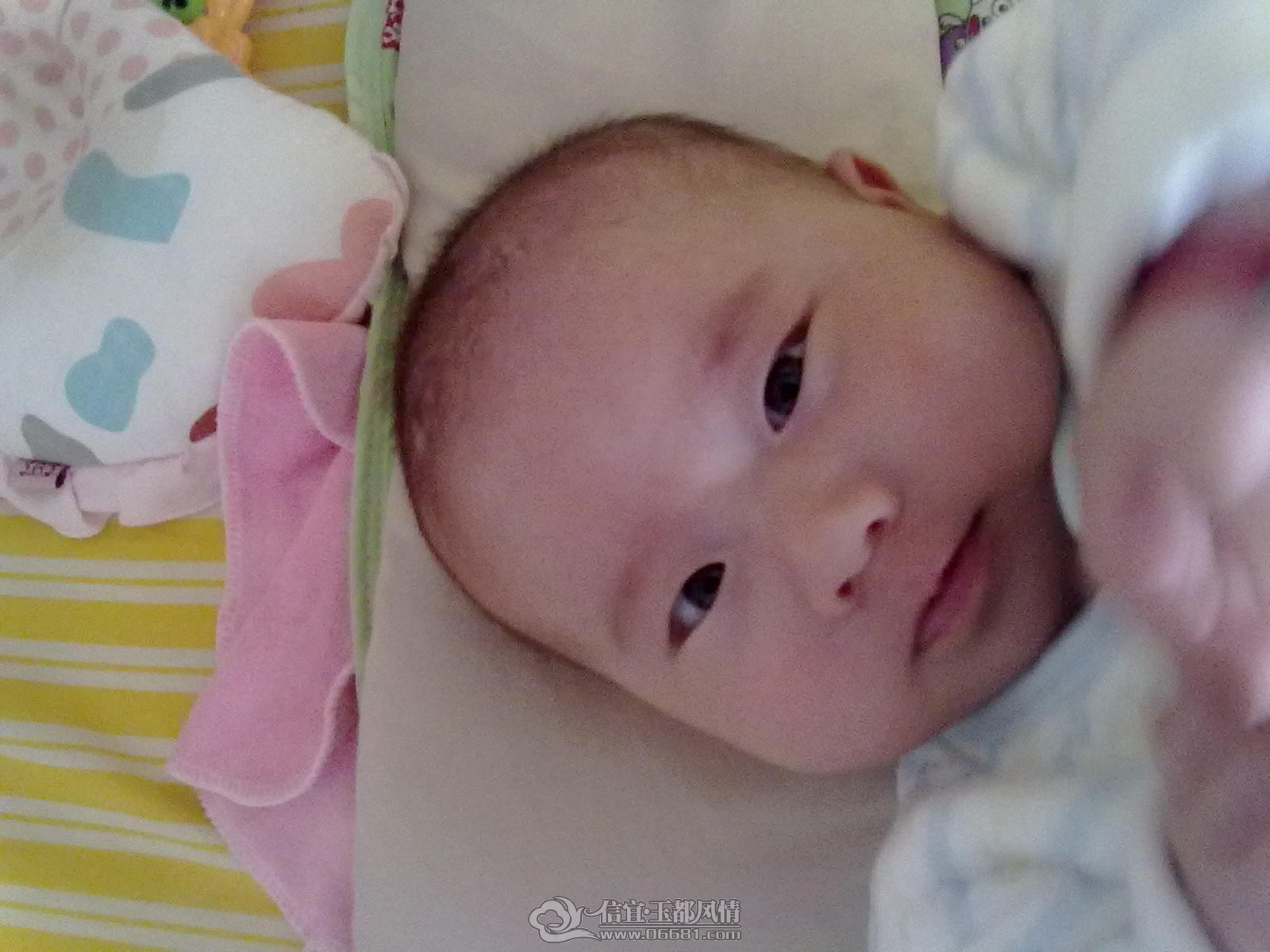 20121015409.jpg