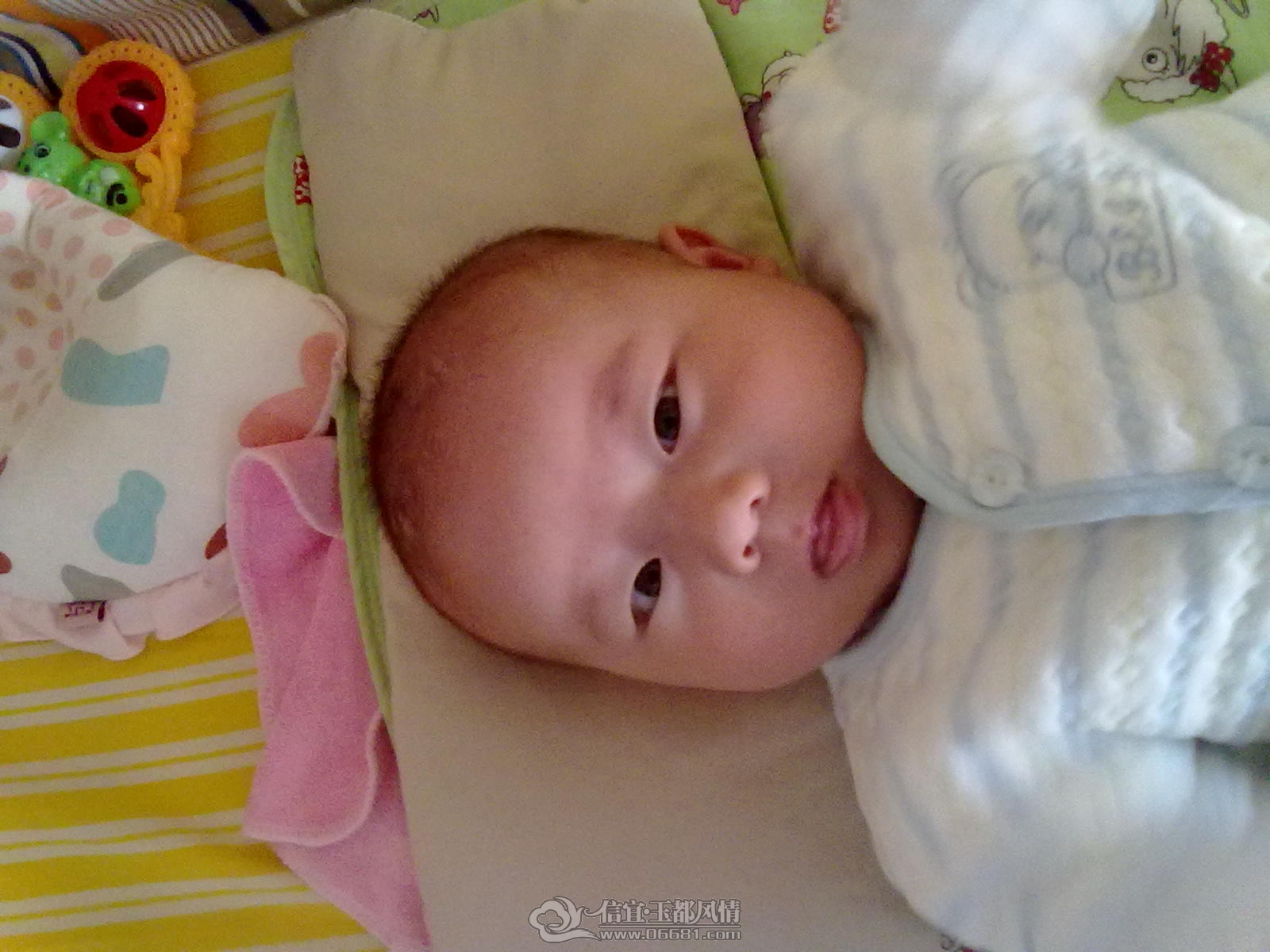 20121015410.jpg