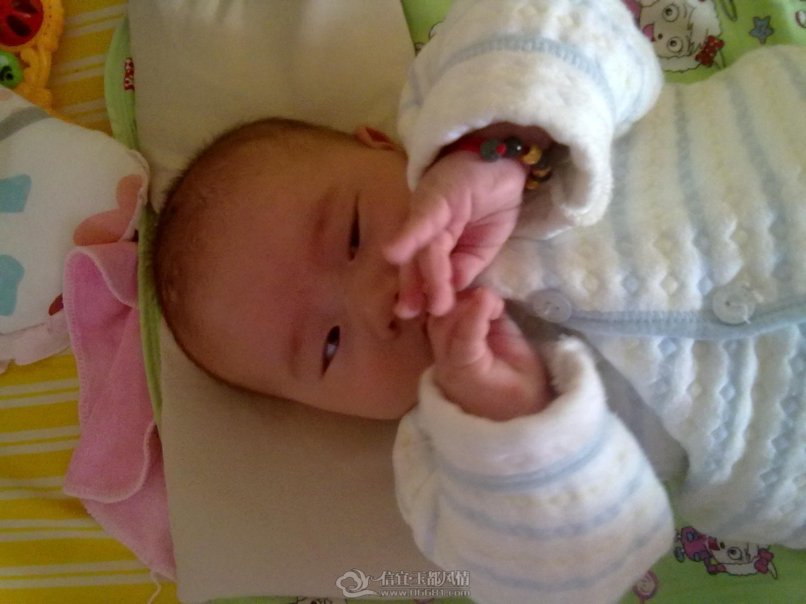20121015411.jpg