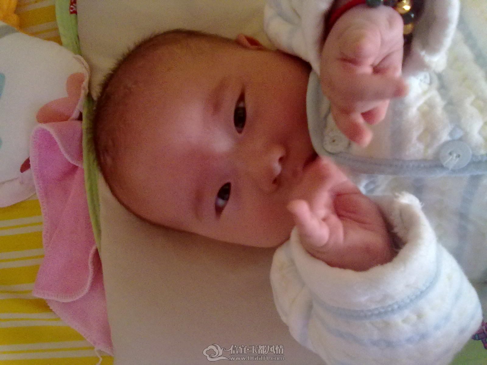 20121015412.jpg