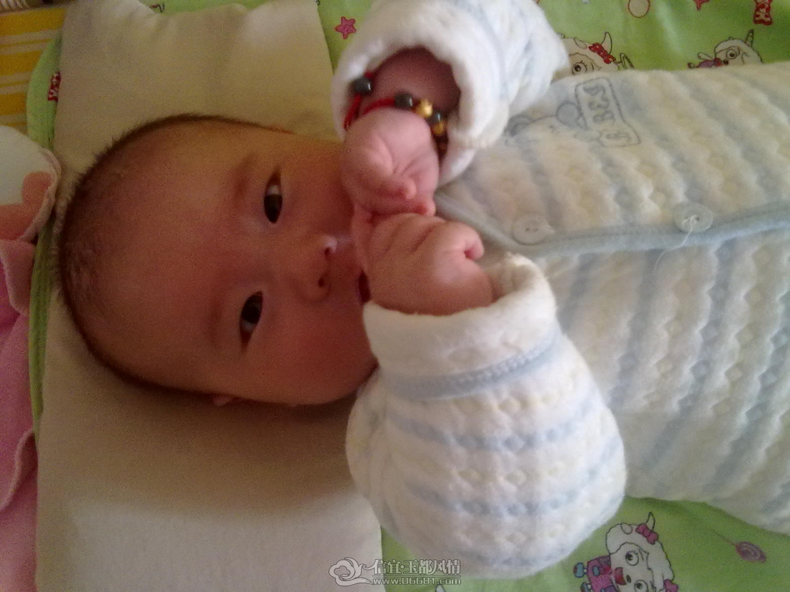 20121015415.jpg