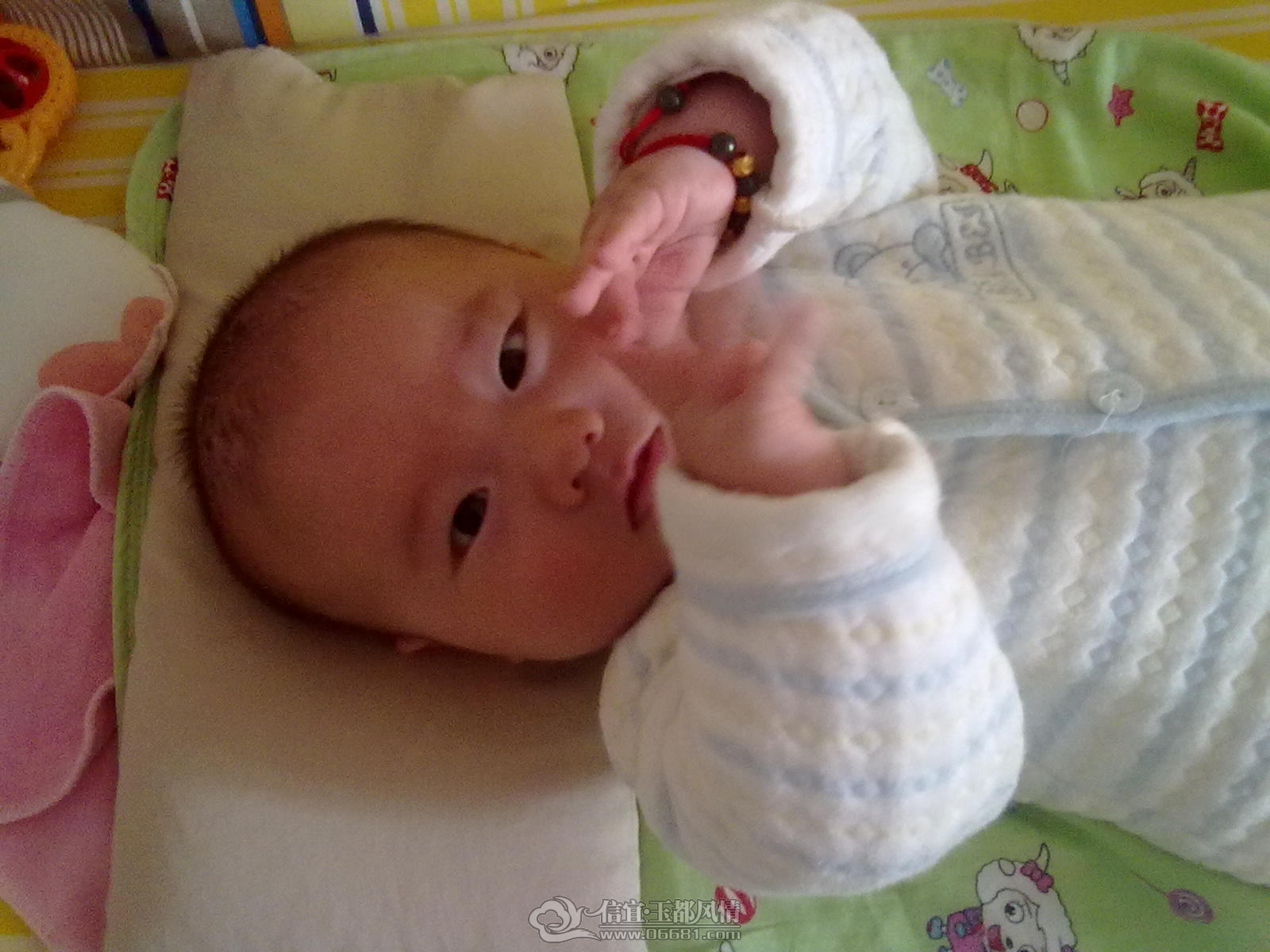 20121015417.jpg