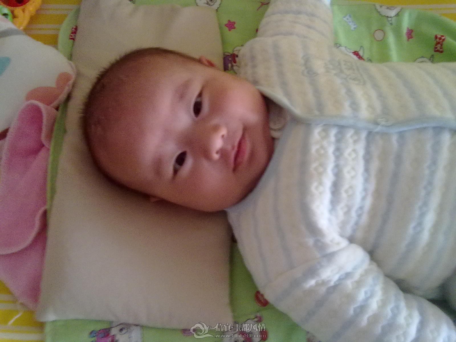 20121015419.jpg