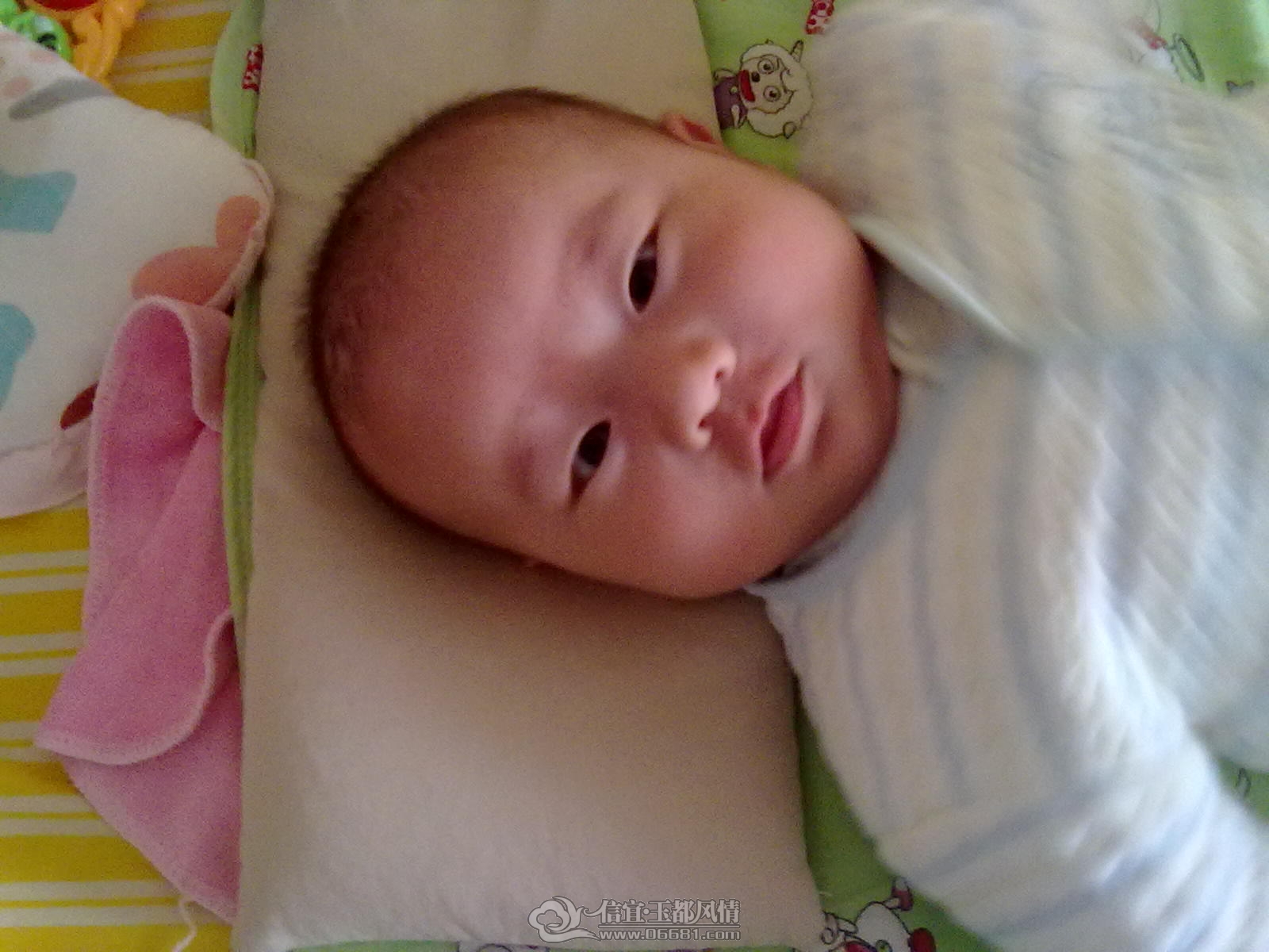 20121015421.jpg