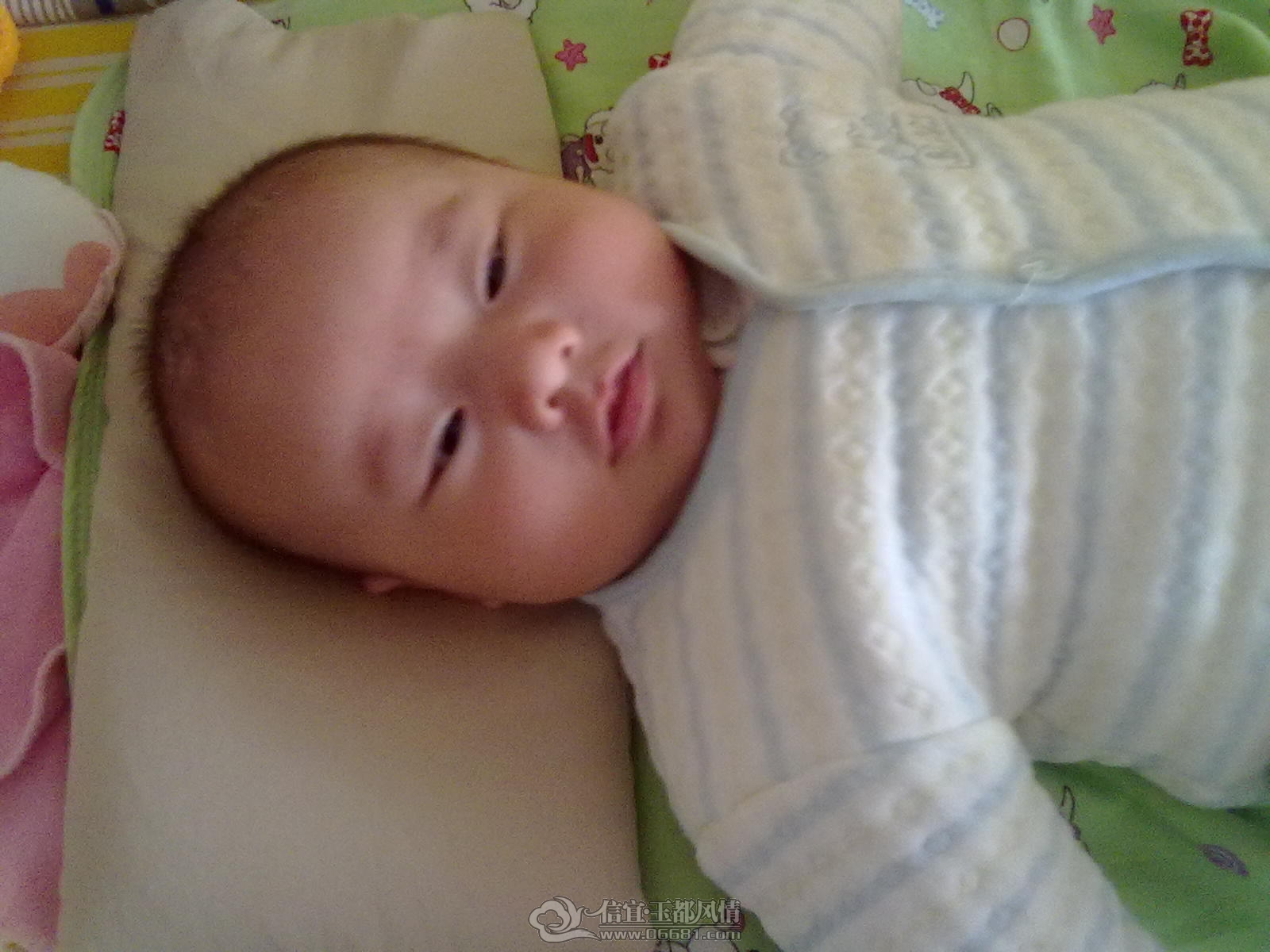 20121015422.jpg
