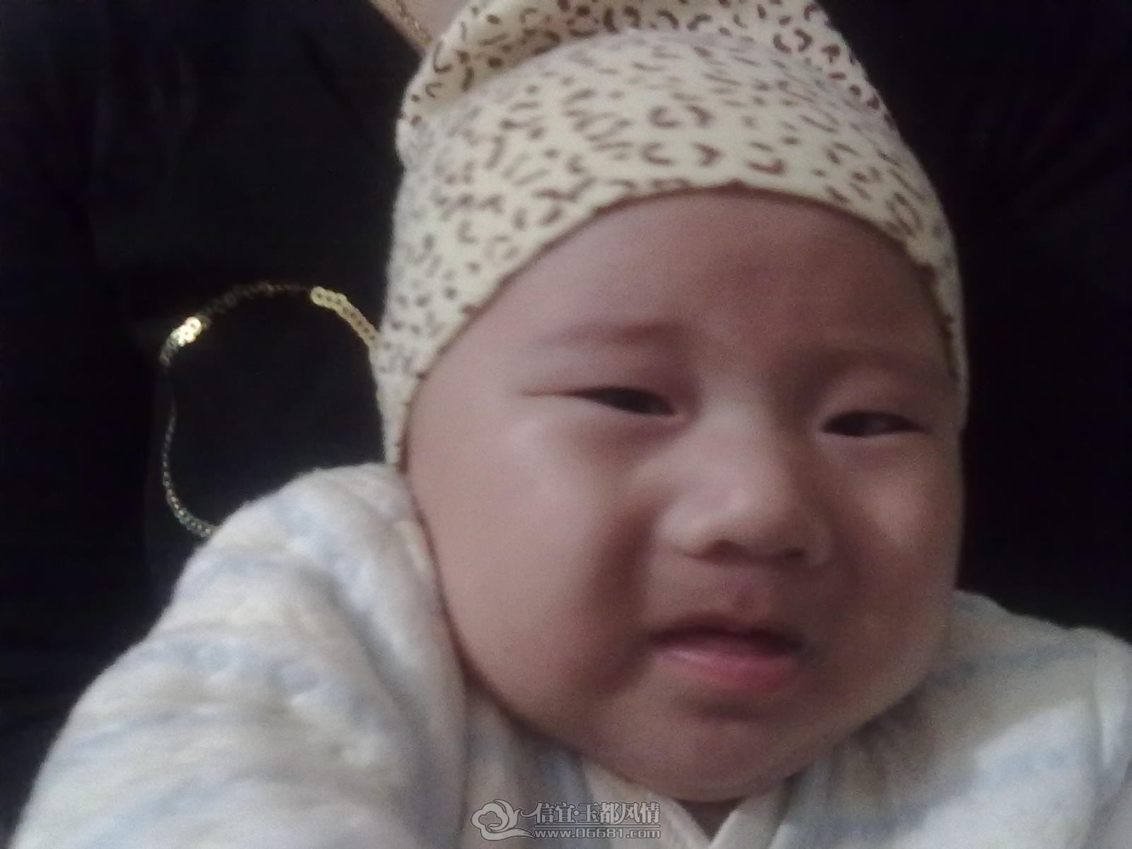 20121024425.jpg