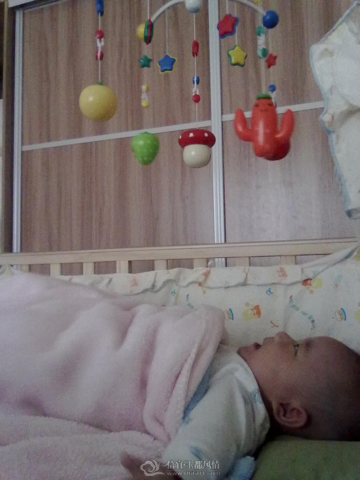 20121027426.jpg
