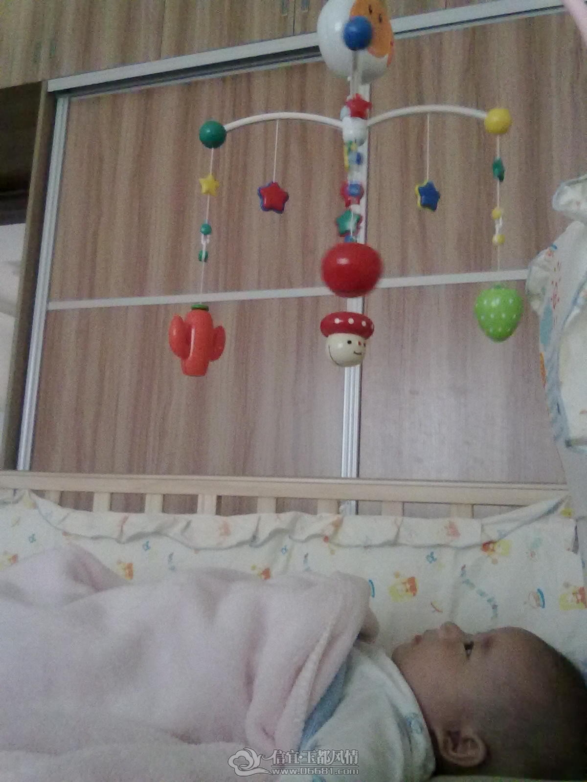 20121027431.jpg