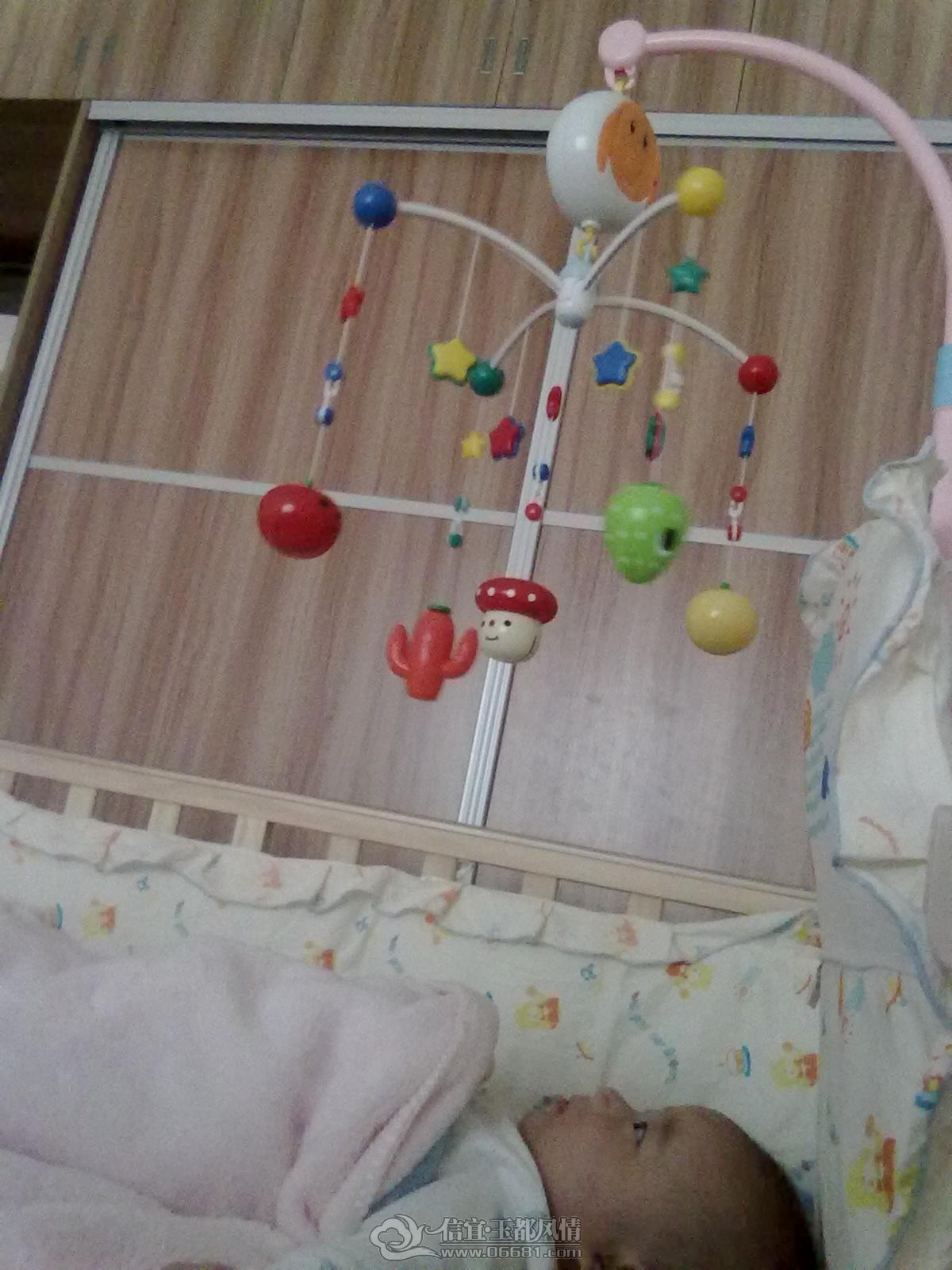 20121027433.jpg