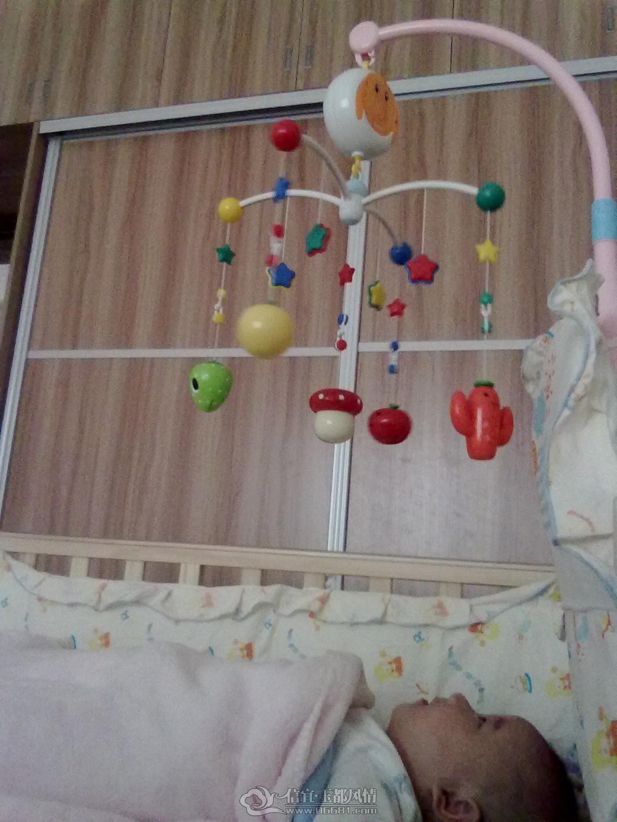 20121027435.jpg