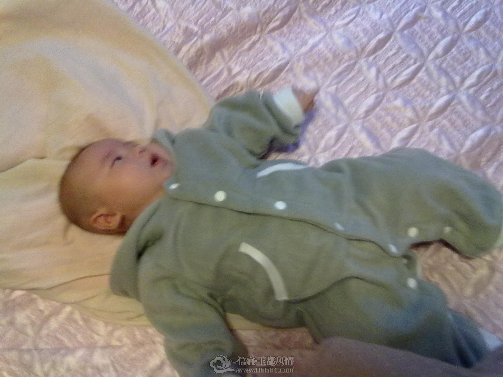 20121028443.jpg