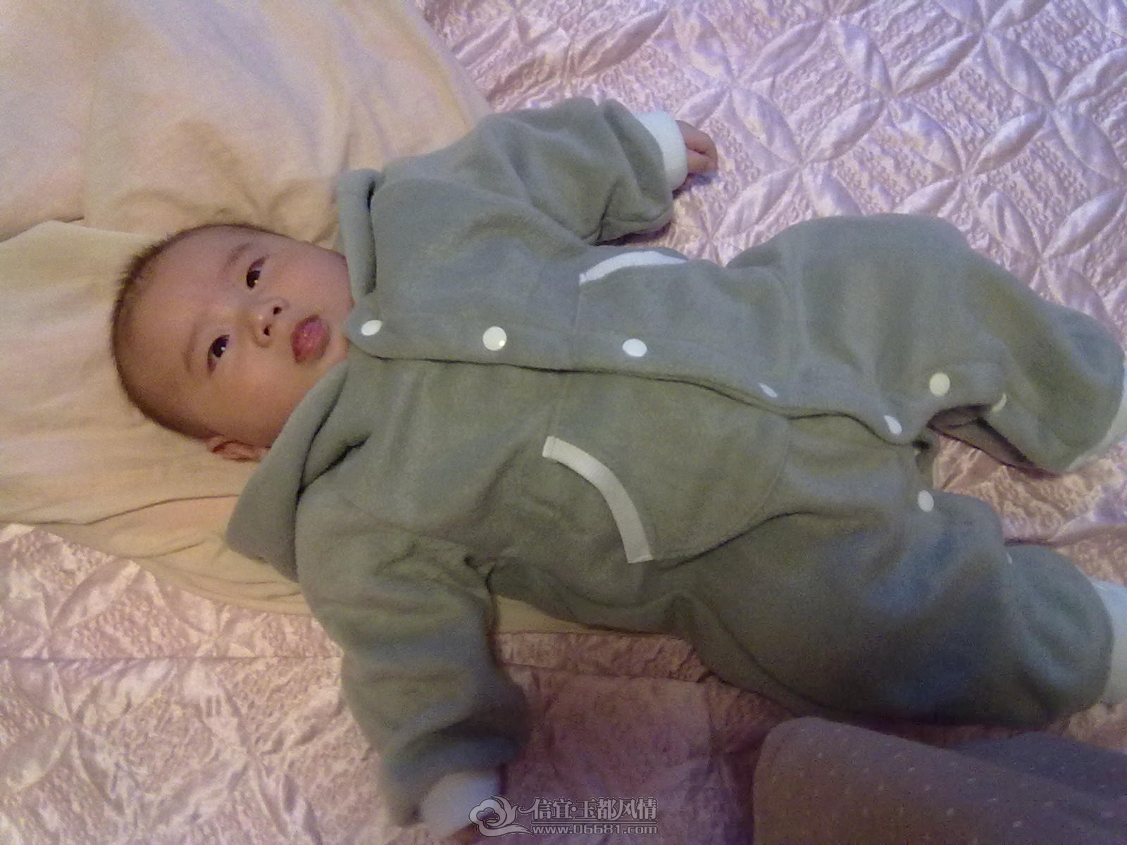 20121028445.jpg