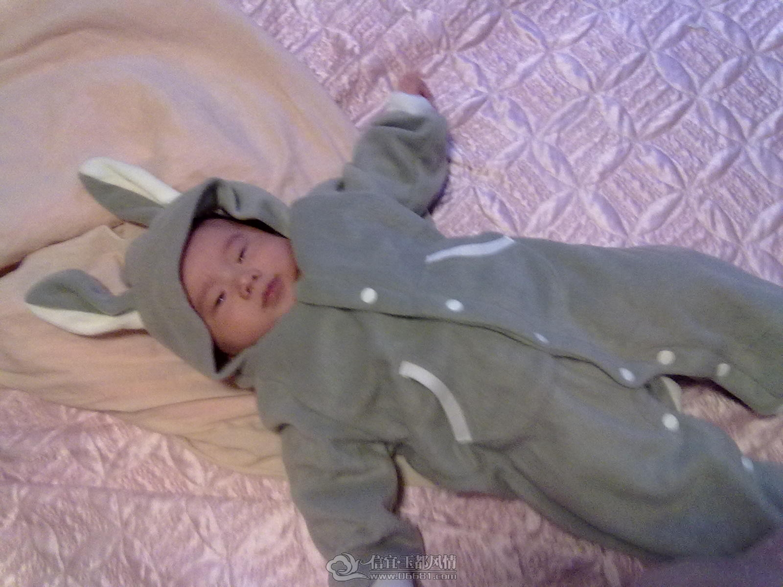 20121028448.jpg