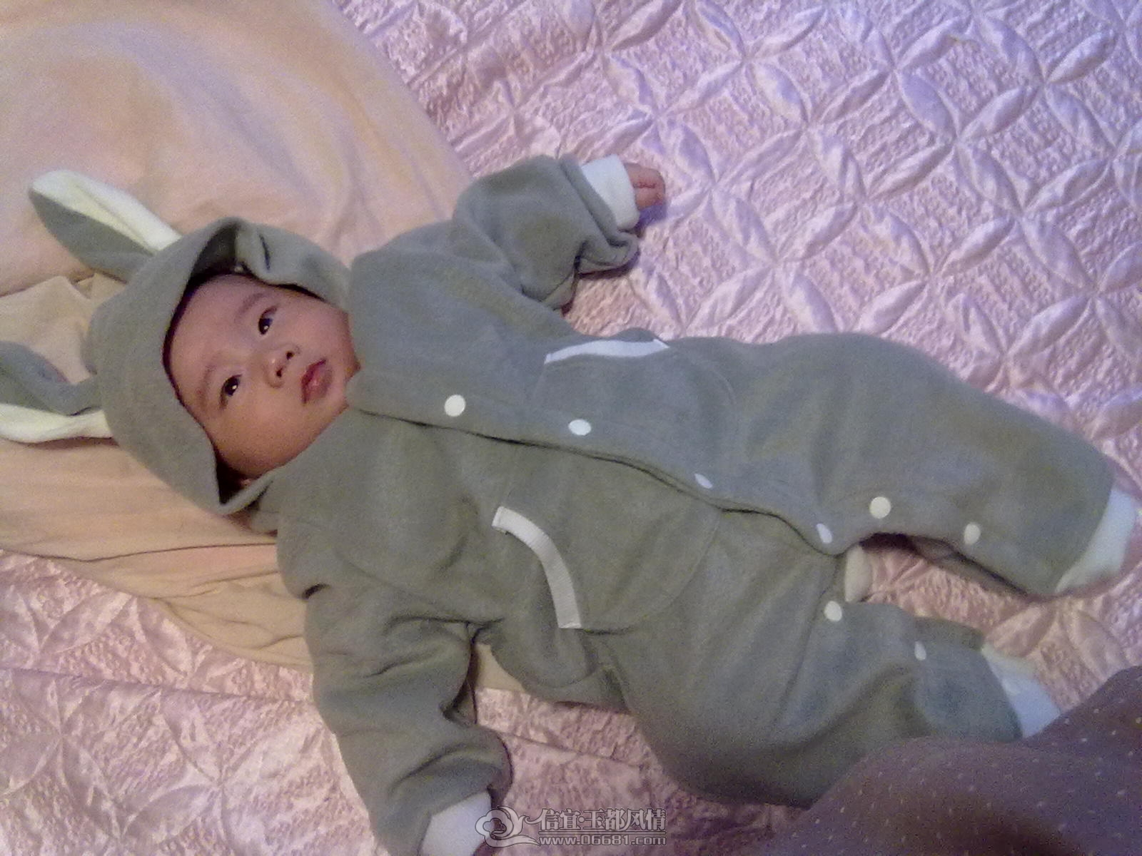 20121028450.jpg